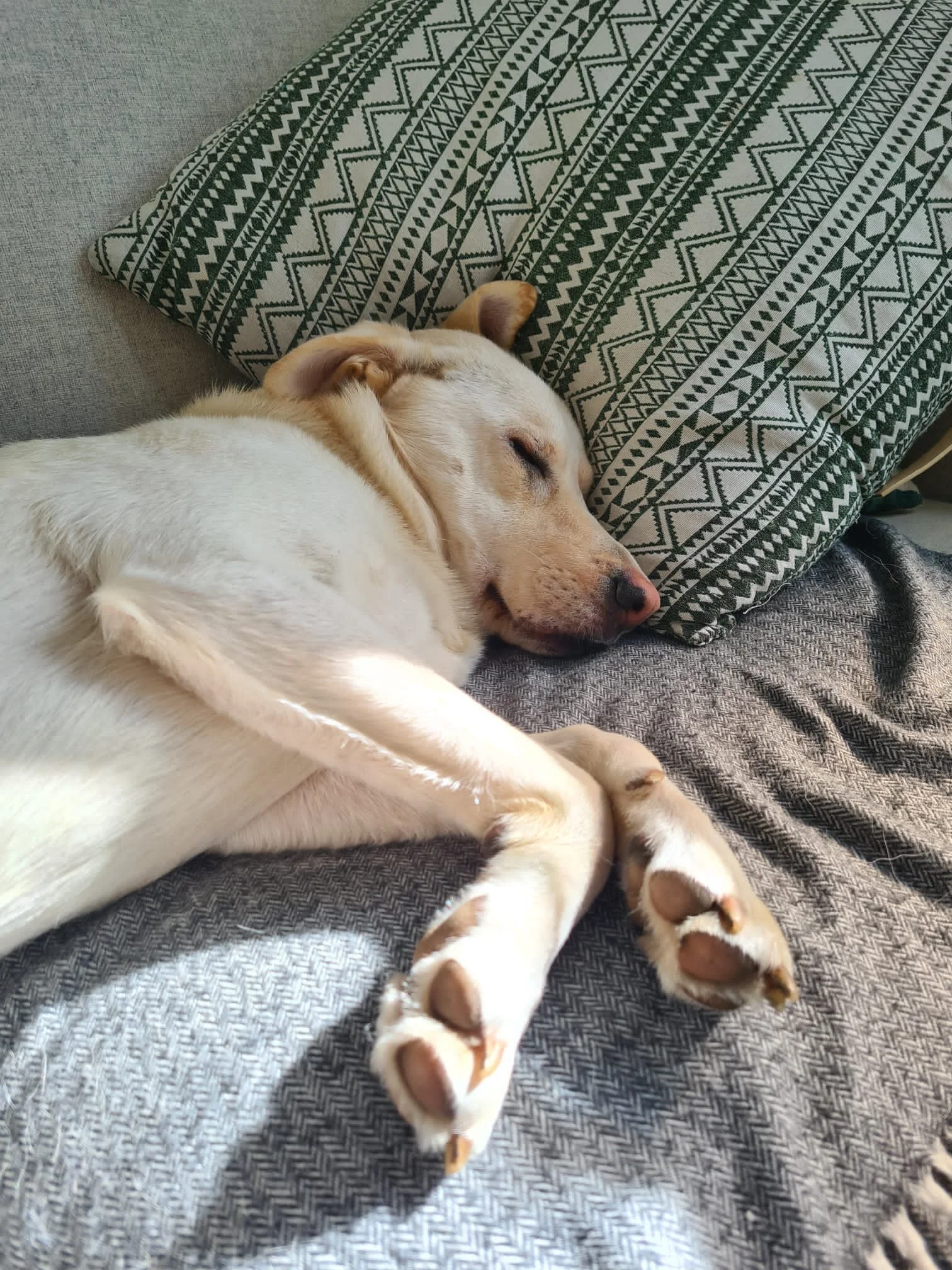 90B829EC-ED27-43D9-8BEF-4746E7F091C5