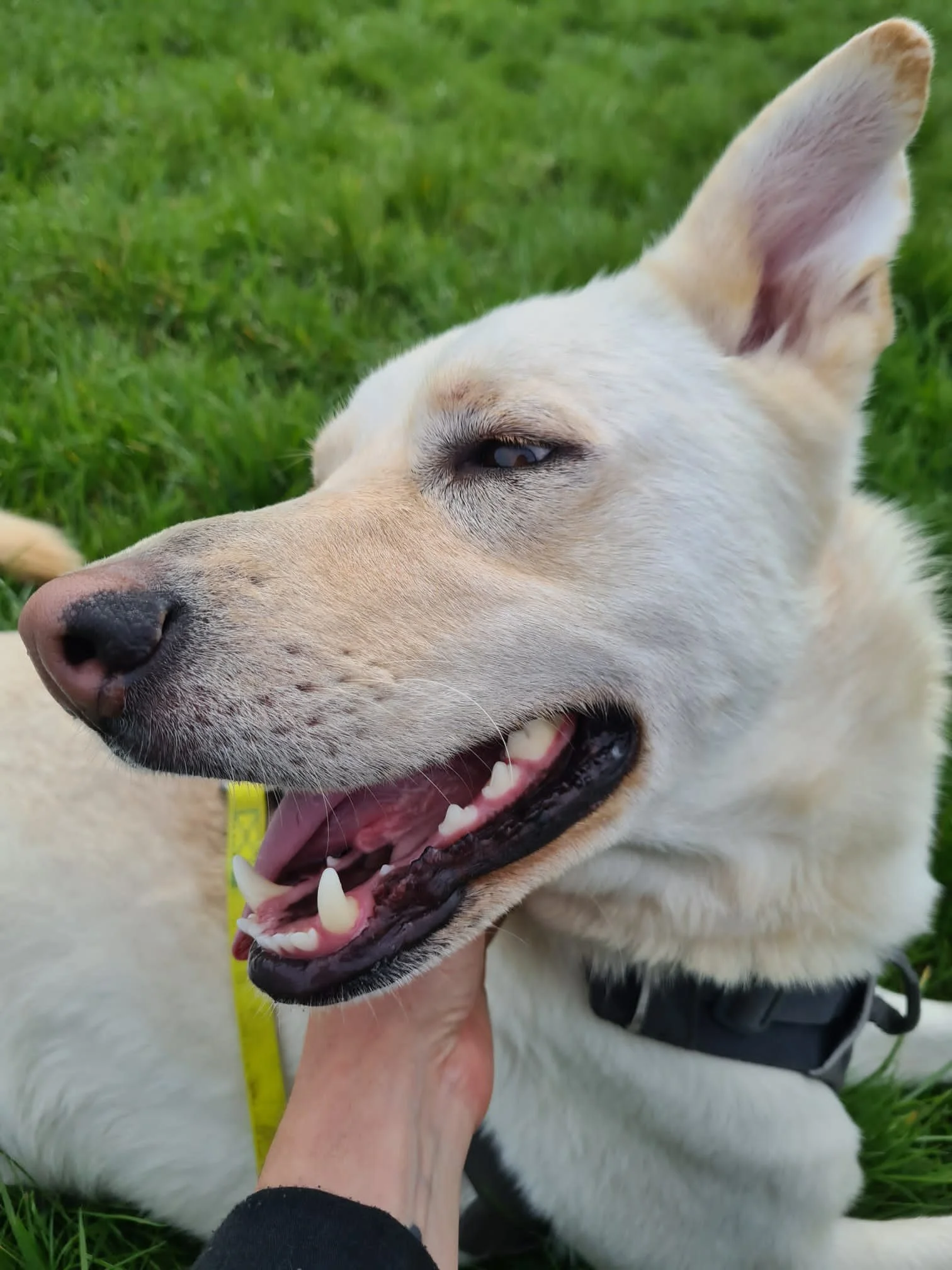 50C9F1CA-7C43-47F3-BF12-8DCB8A449BC5