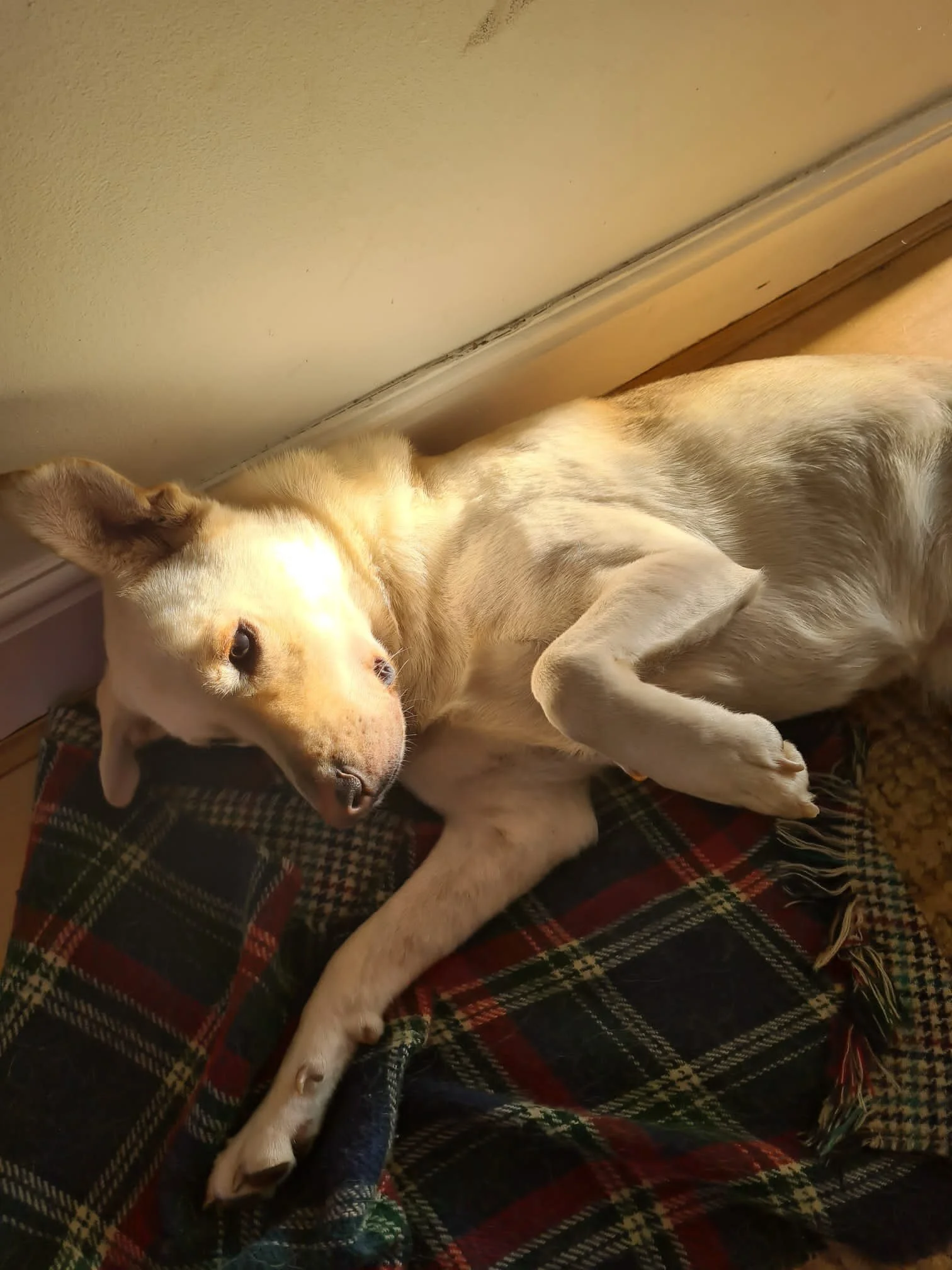 C19B8401-F9F3-452E-8ECD-8D91BA4C6DD2