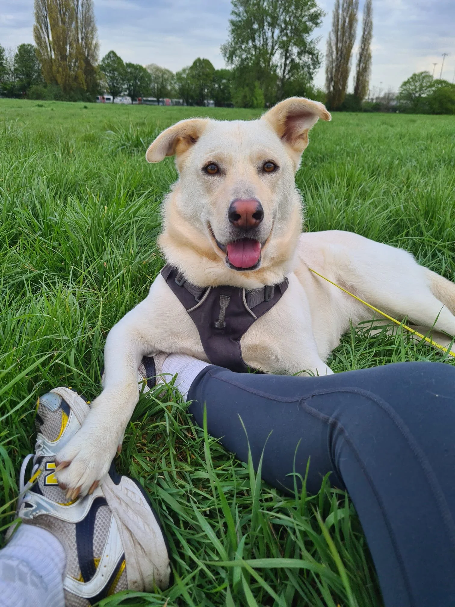 095607BB-E60B-42B5-8D1D-DAE3A669E335