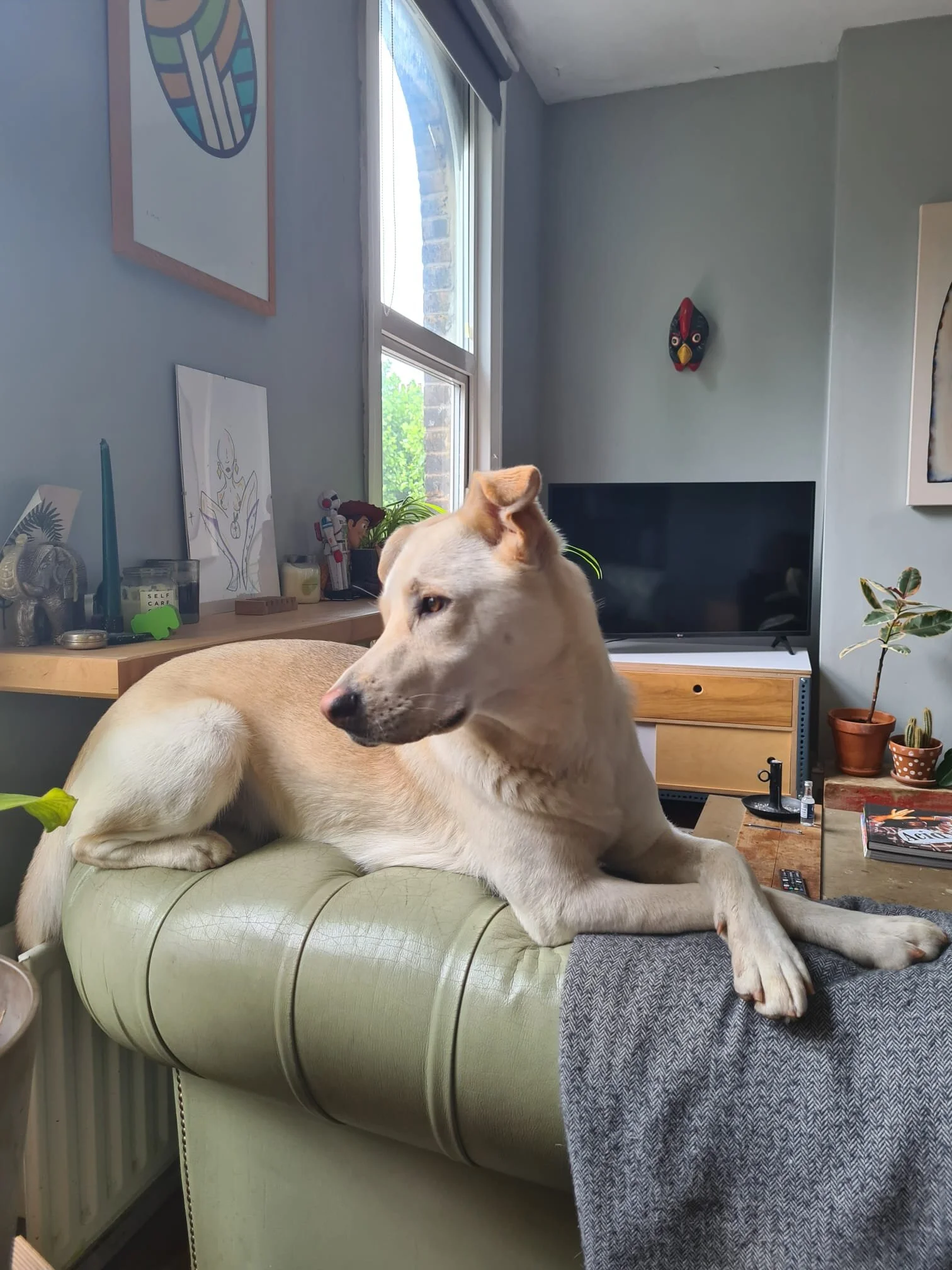 4A0E8804-1AD4-45BD-BAAB-955E4877F35A