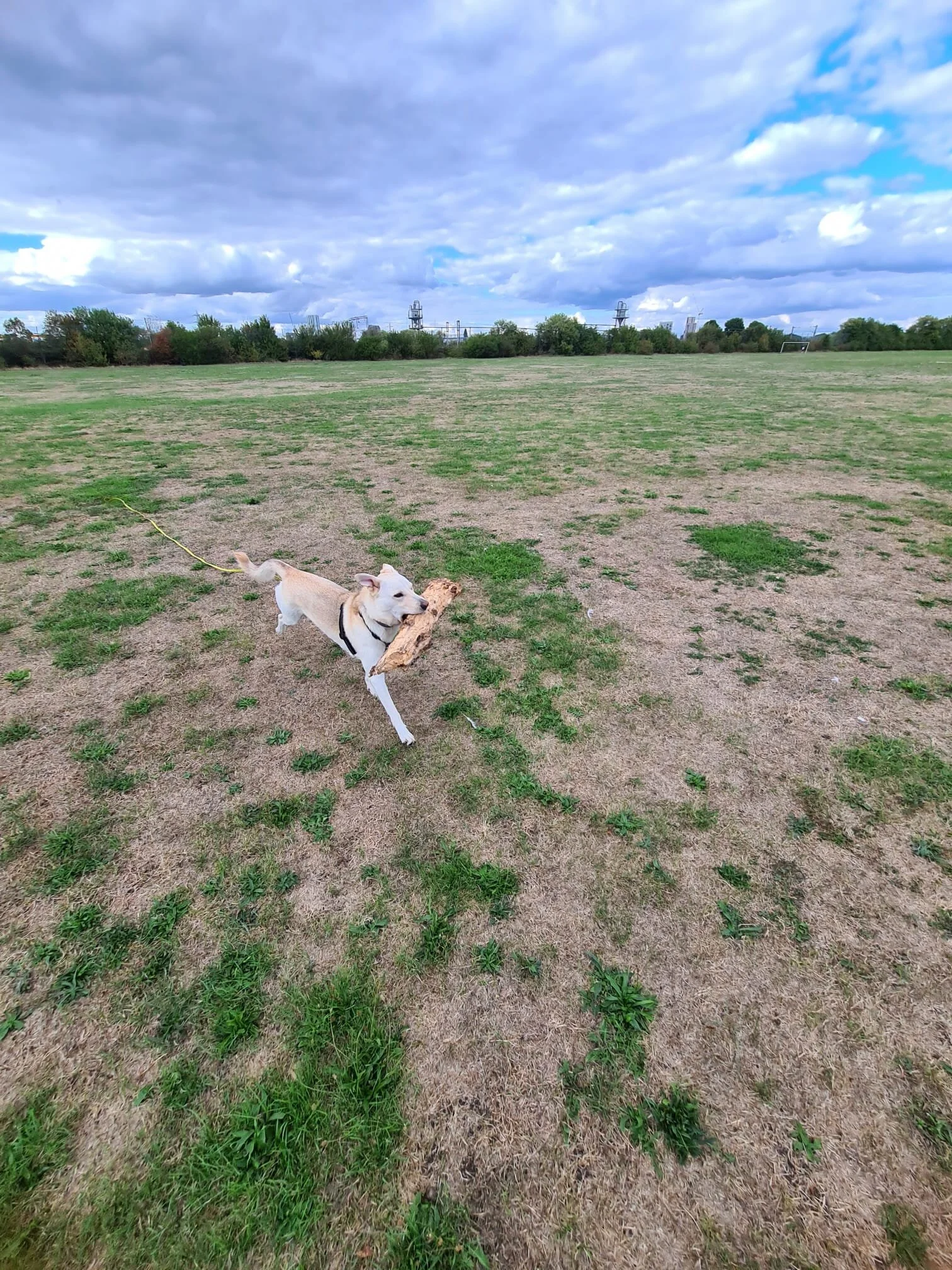 33F90936-D0A1-42CF-9F4F-A998E7620097