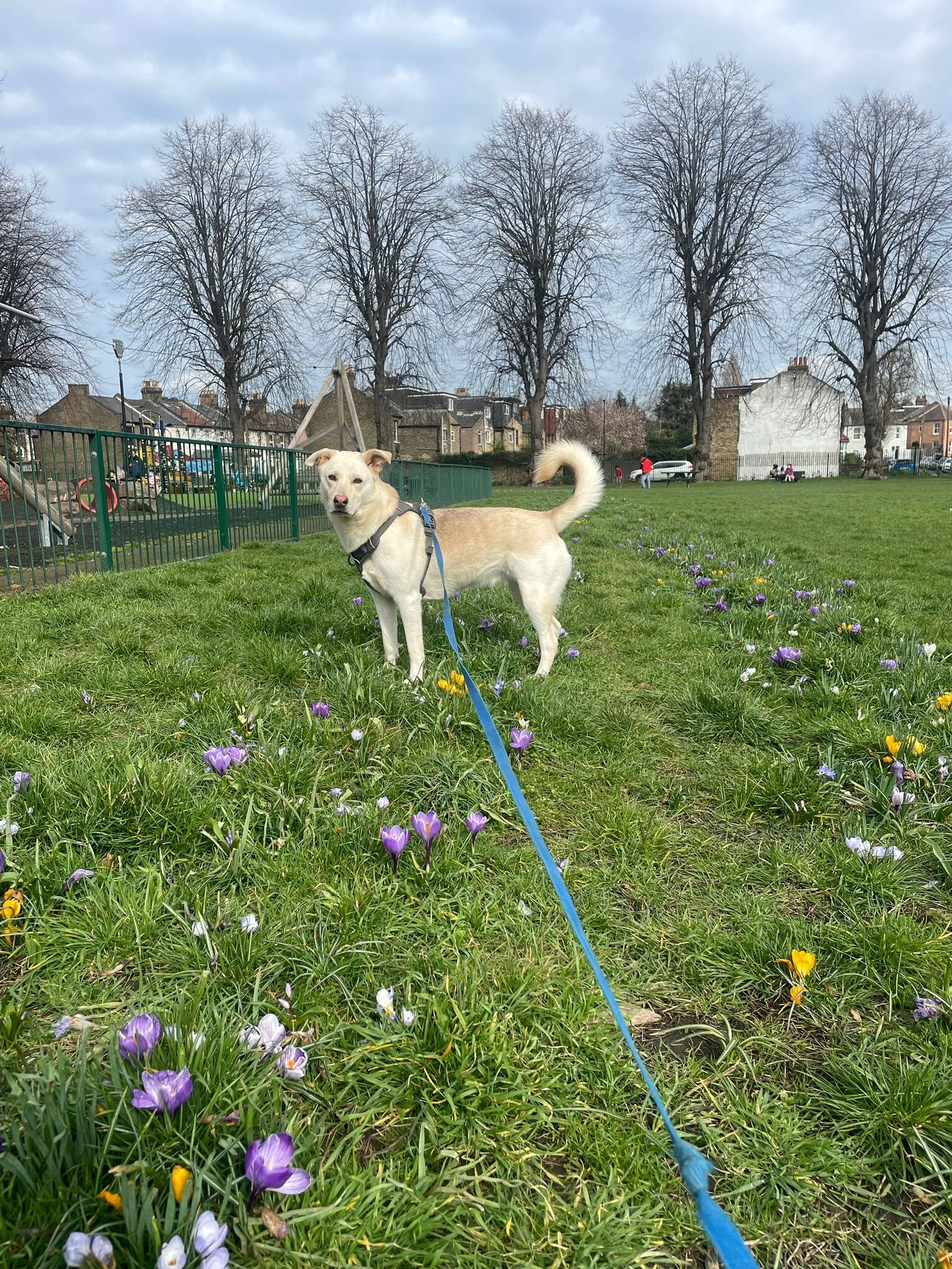 23F0D32D-2DC8-4035-8408-D07D210C6B2D