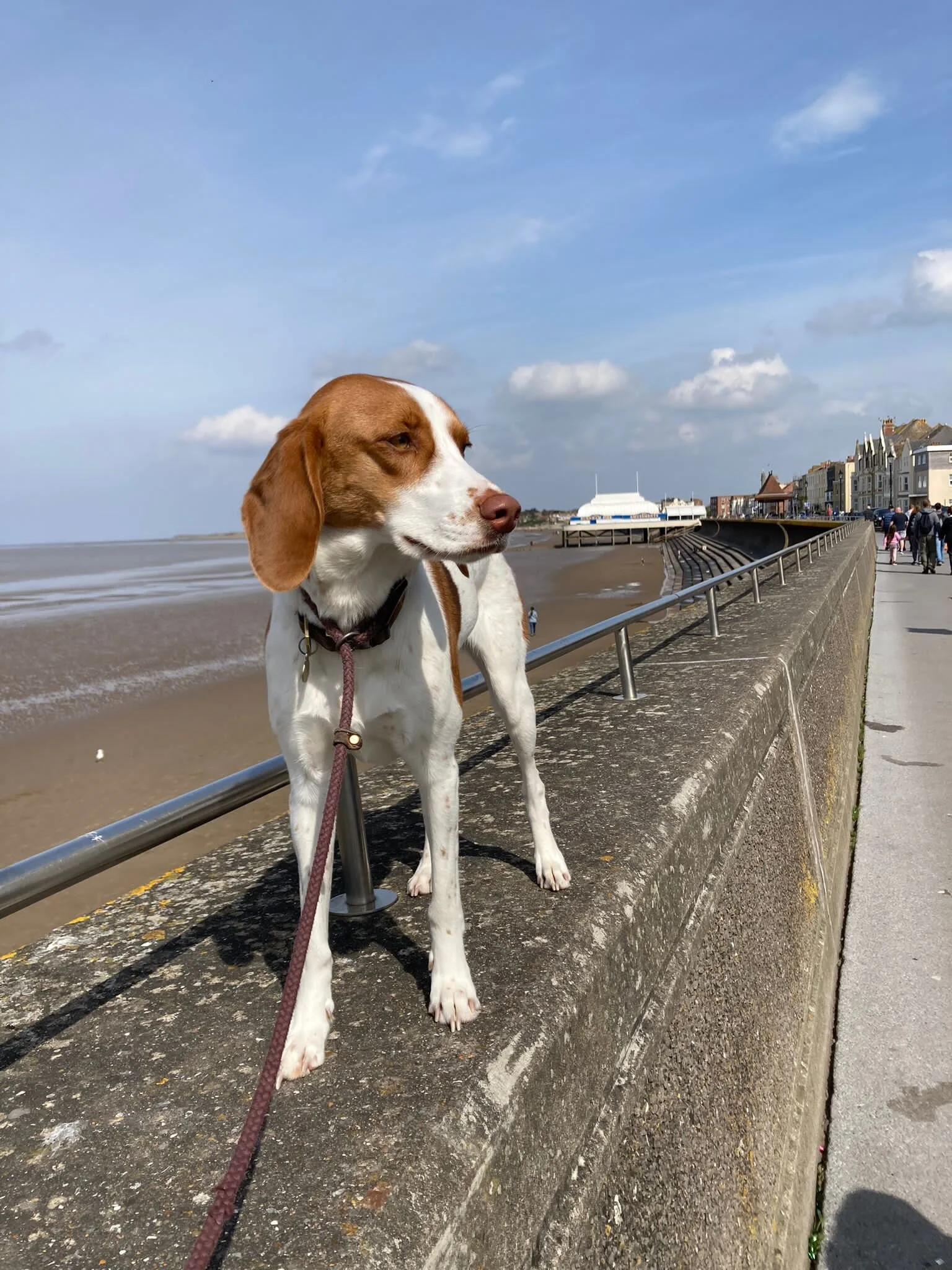 B25B7A6D-D8C4-49C5-8119-AF6314508E99