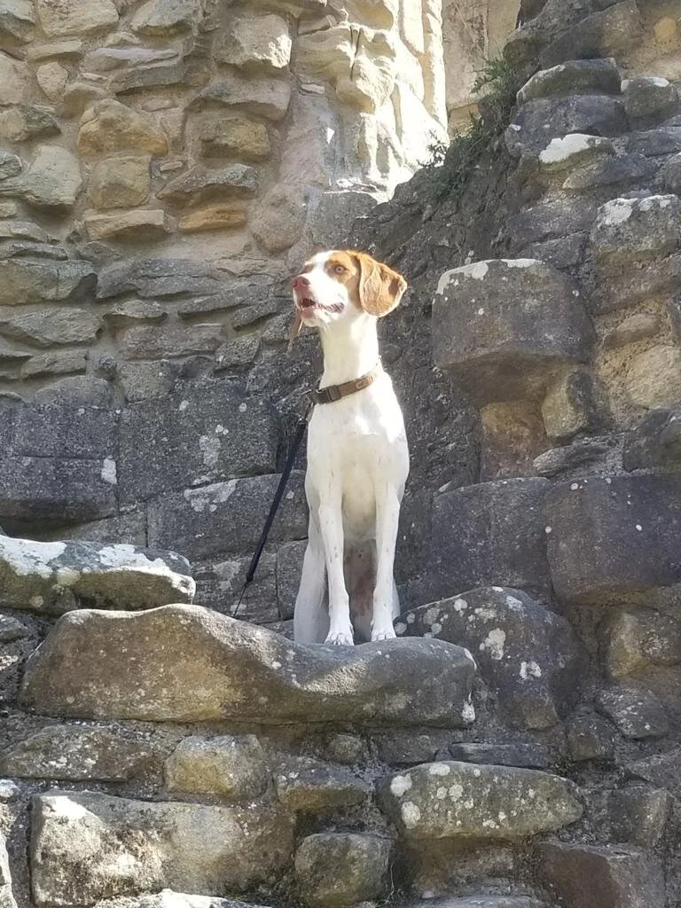 B8D83B77-568D-41FB-9A19-A425FFFA4EAA