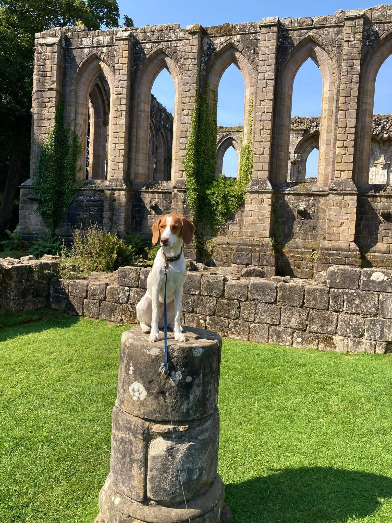 37A54DB1-F8EC-416E-AA08-738E268EA9A2