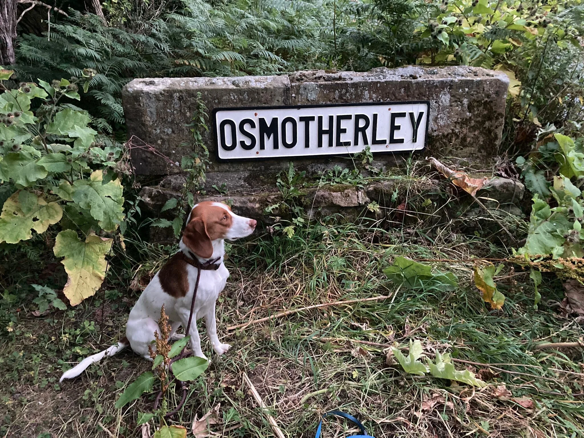 B7236342-C02C-4E8A-B8FB-63074F7DFA61