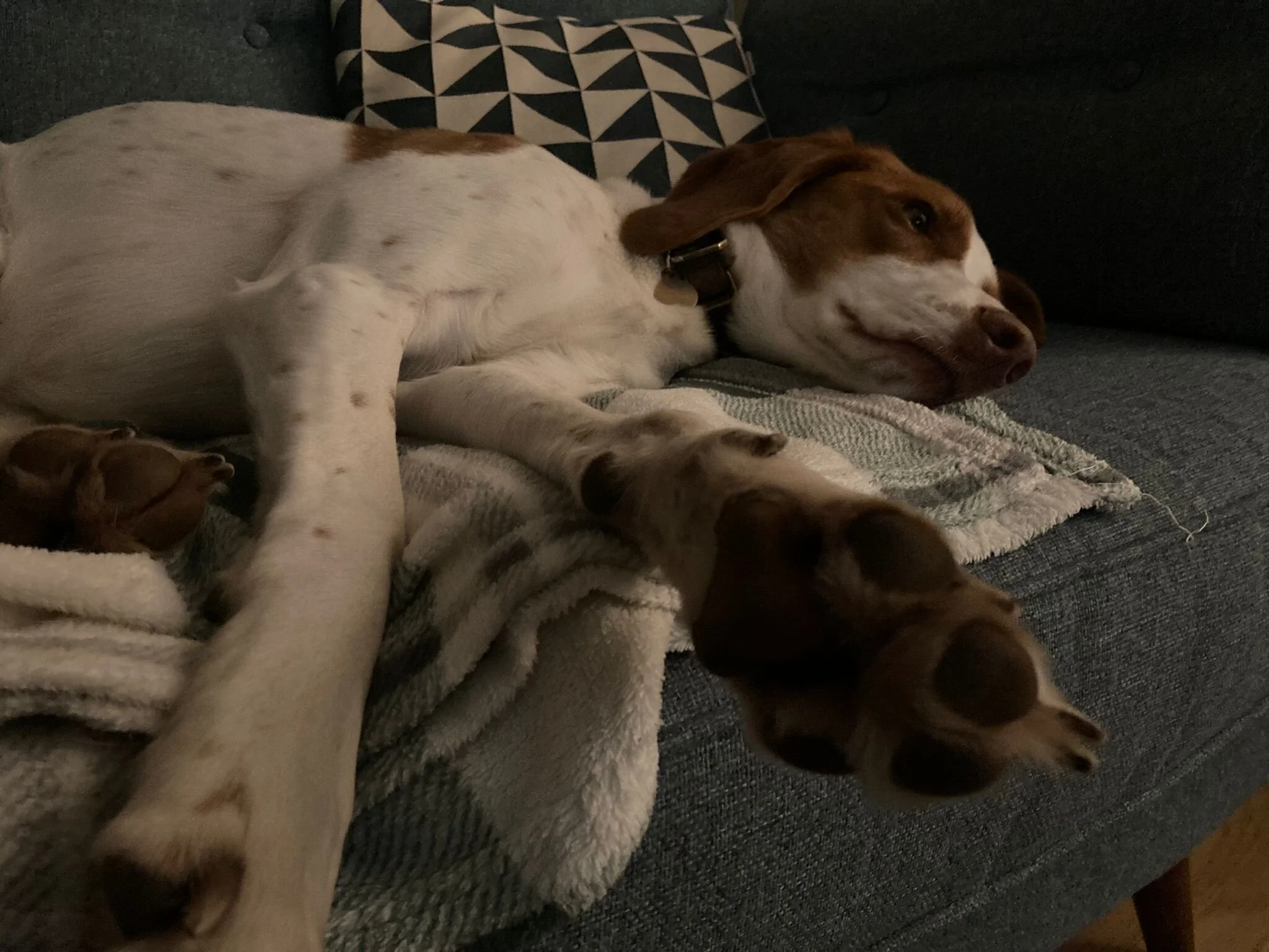 2FB98CDD-C8CF-4AF9-9032-603C8628C4B9