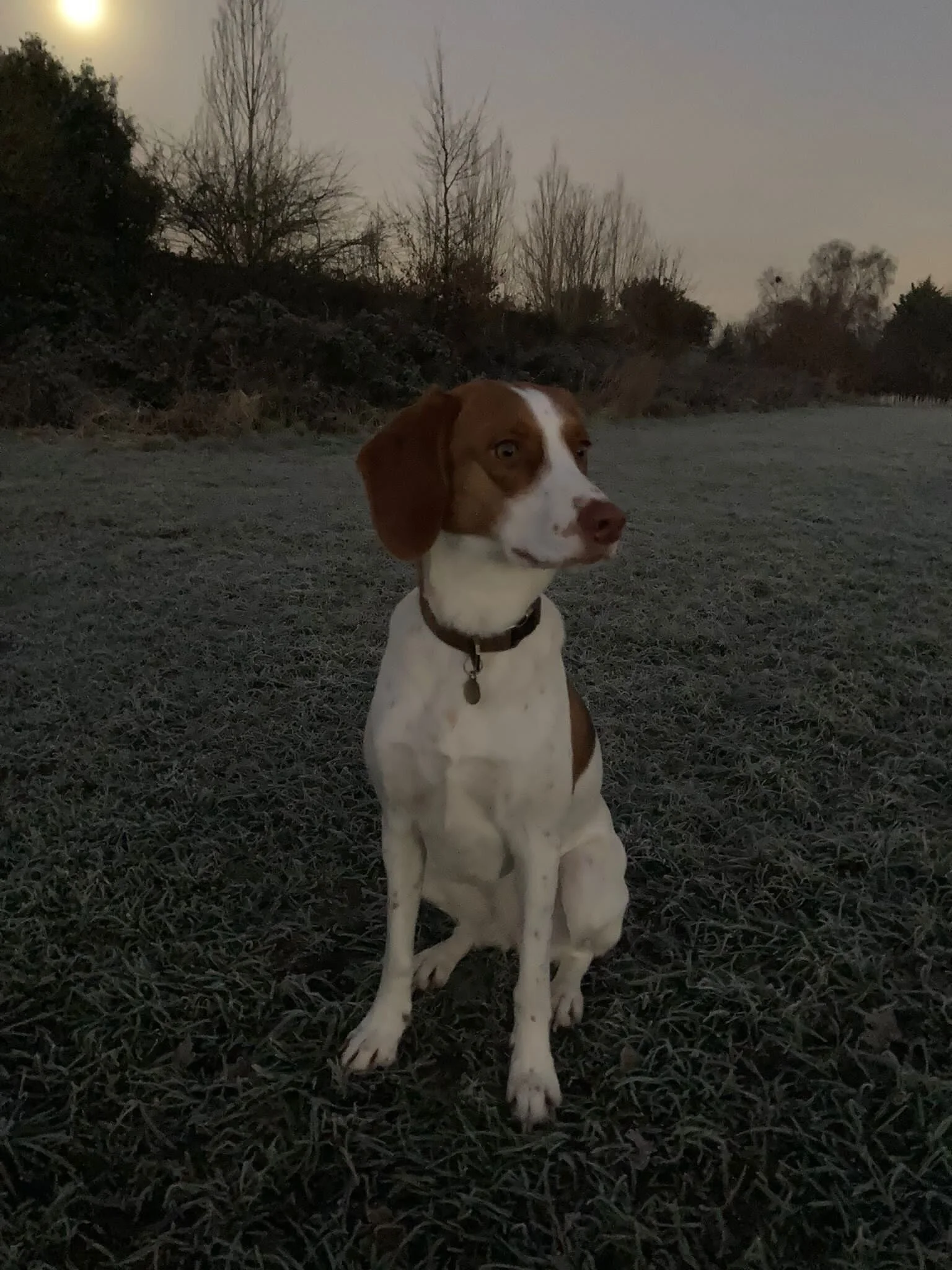 214278F9-05E7-40AE-B168-1A456596DB32