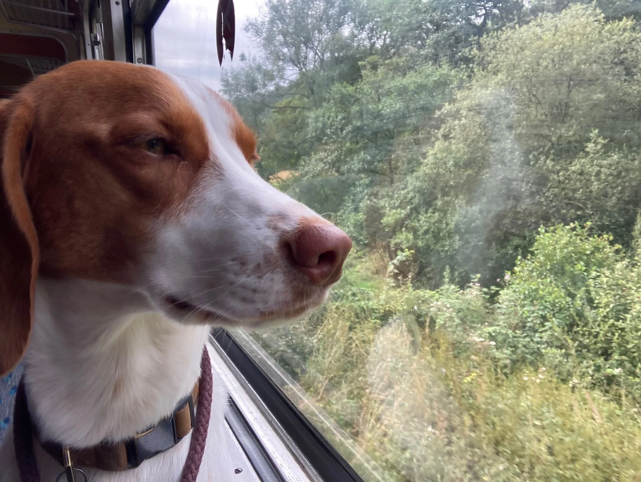 E21888C1-7641-40F9-9457-CDD1CB9A1D25