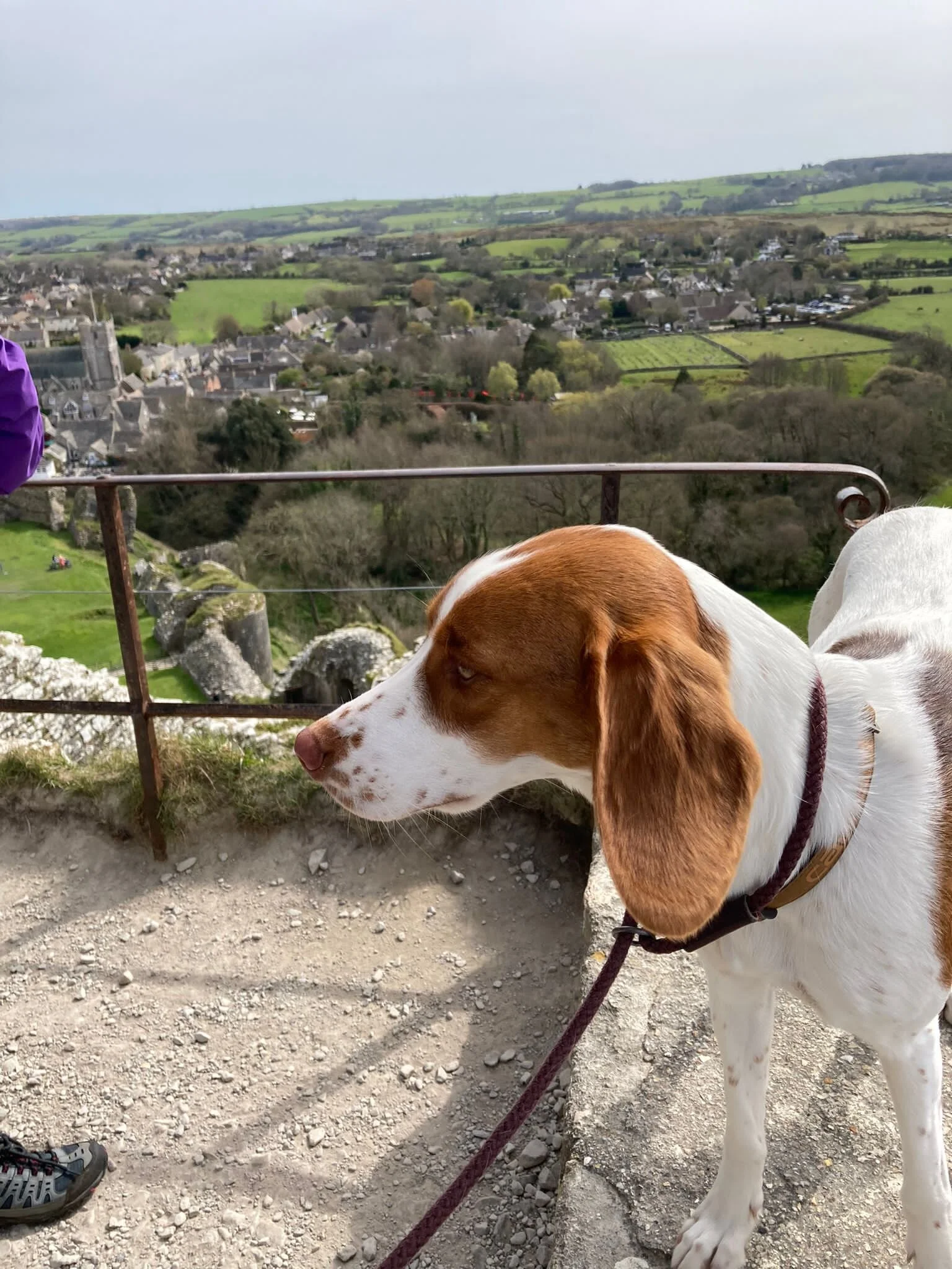 0F22297C-450D-421C-8D87-A7736C14F9D4