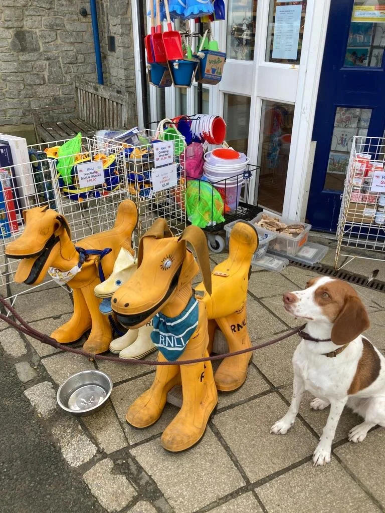 5235BAAA-4336-4BFC-914C-F96060501A11