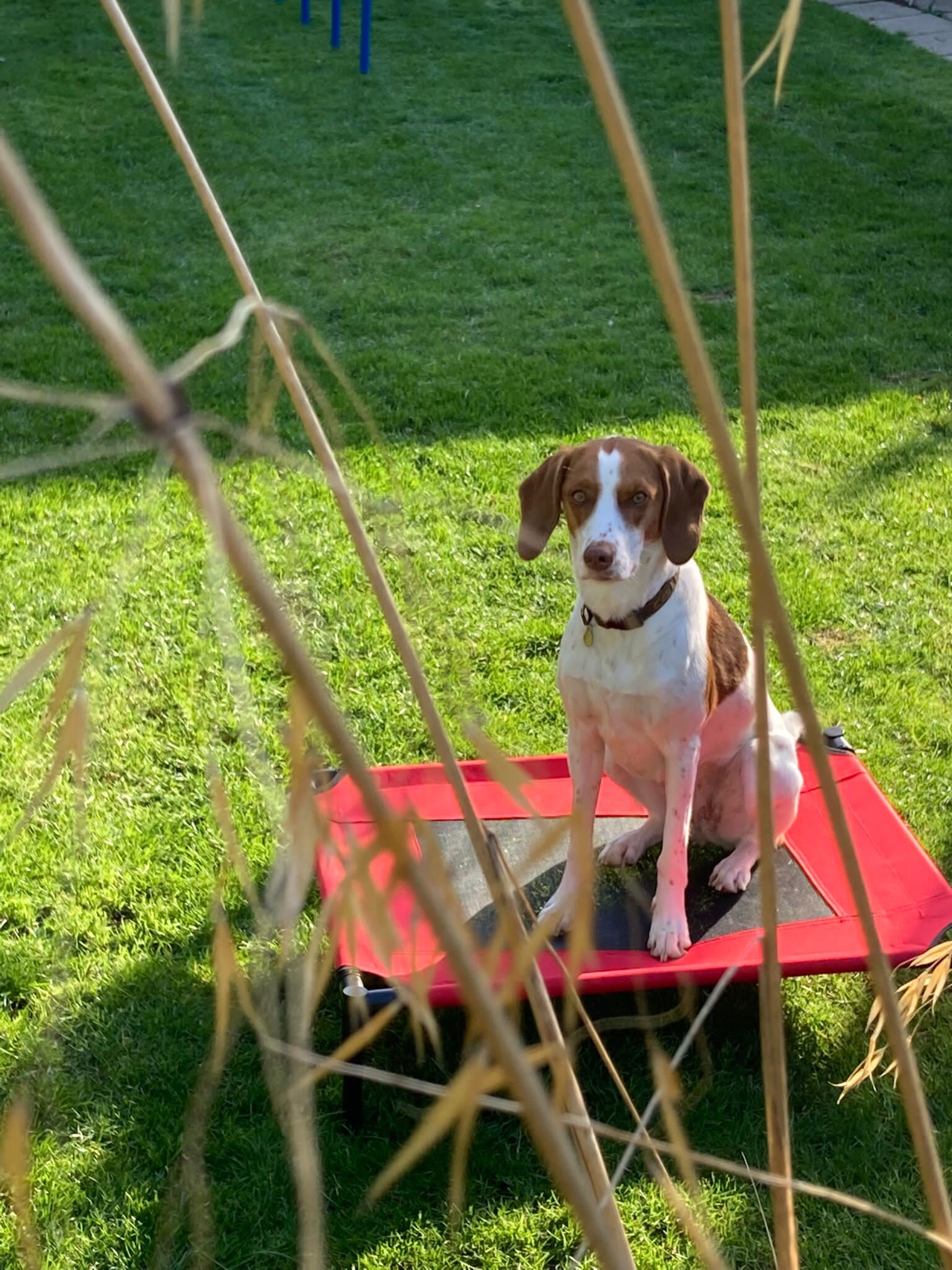 D317AEF8-4060-45AE-82C9-B714FDFBF17E