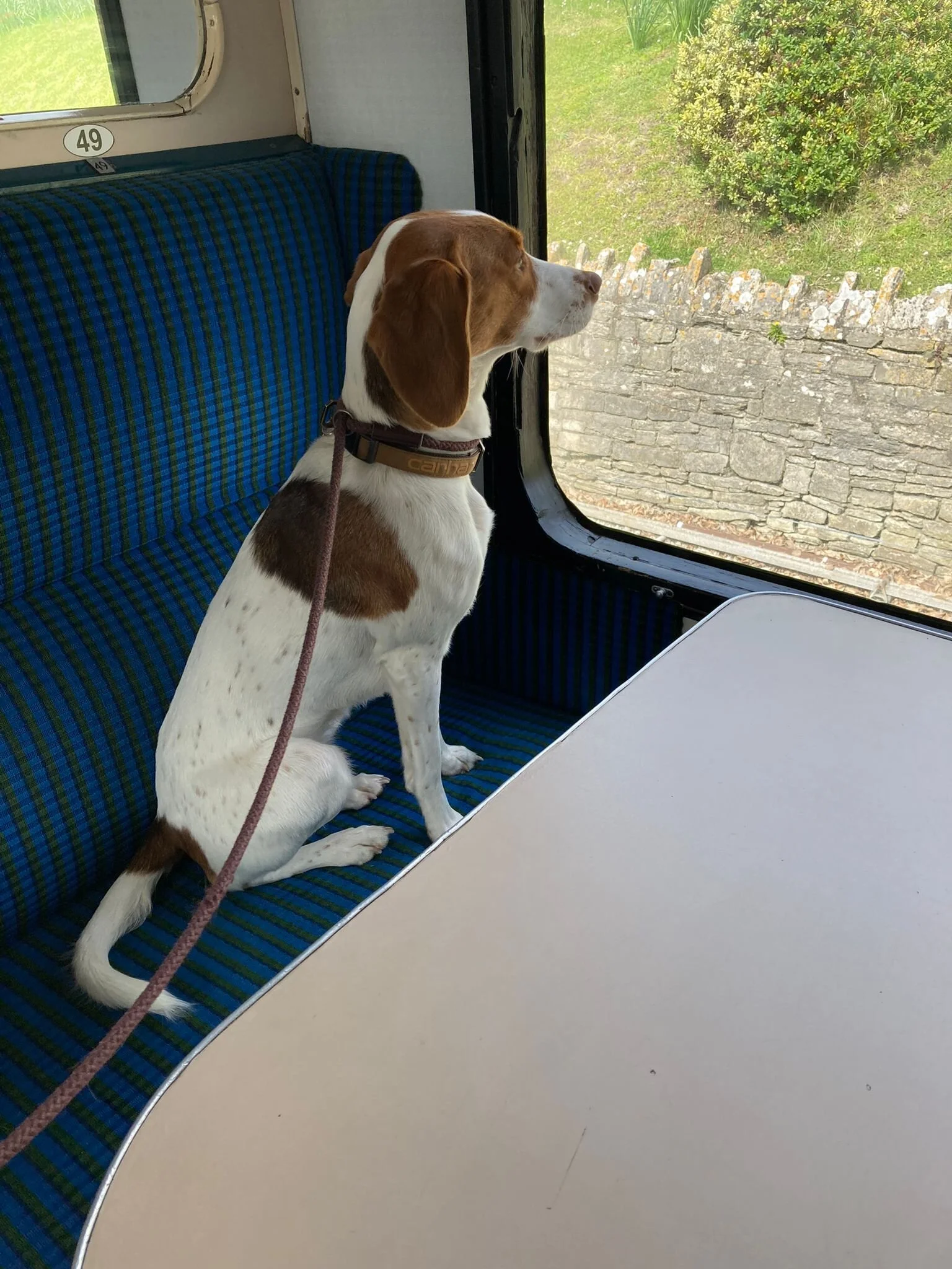 9020523F-03E9-4BB2-82C8-984324D7D221