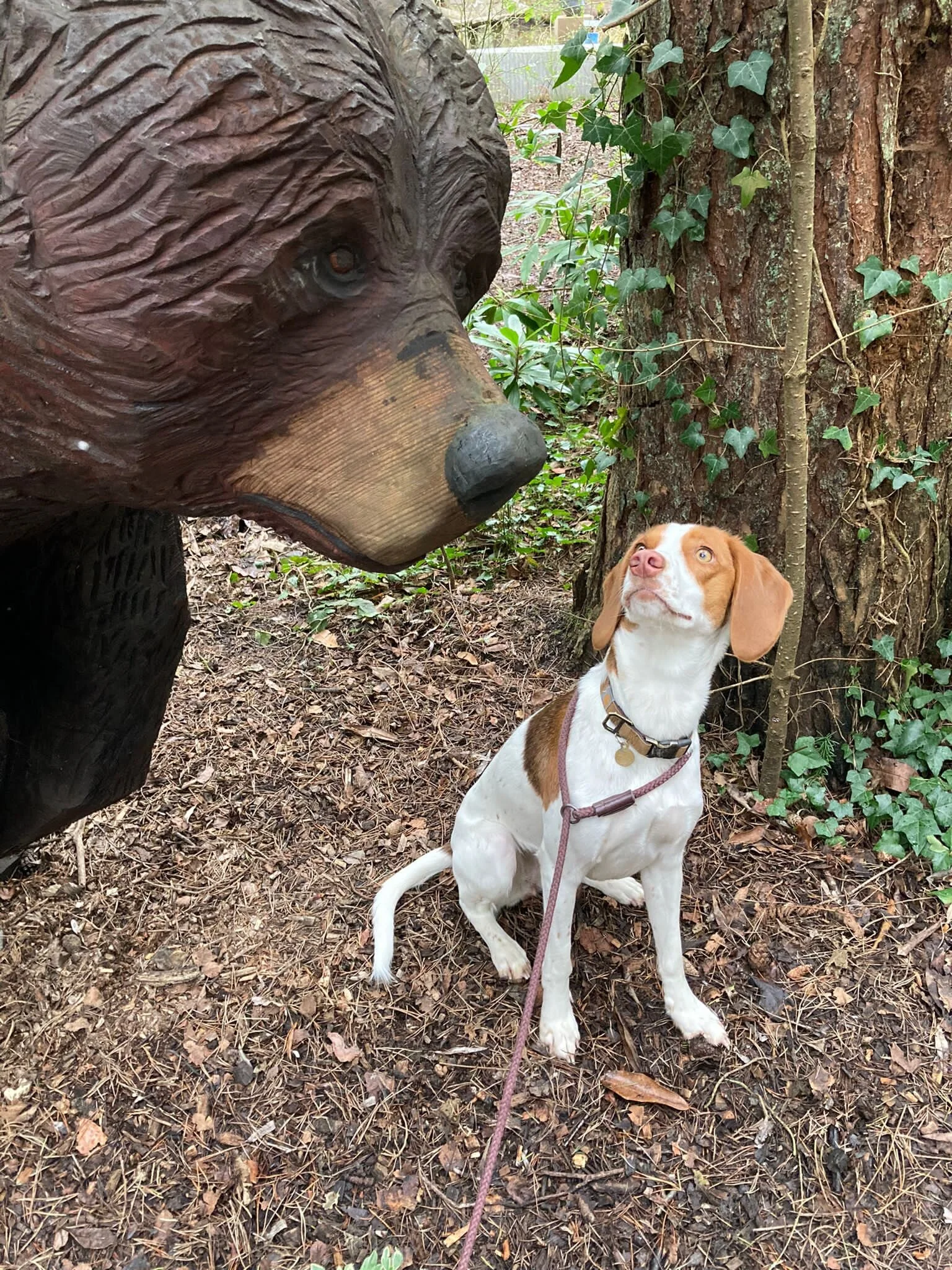 BB5F0A14-1BD3-4BBE-A47C-A874114B9A67