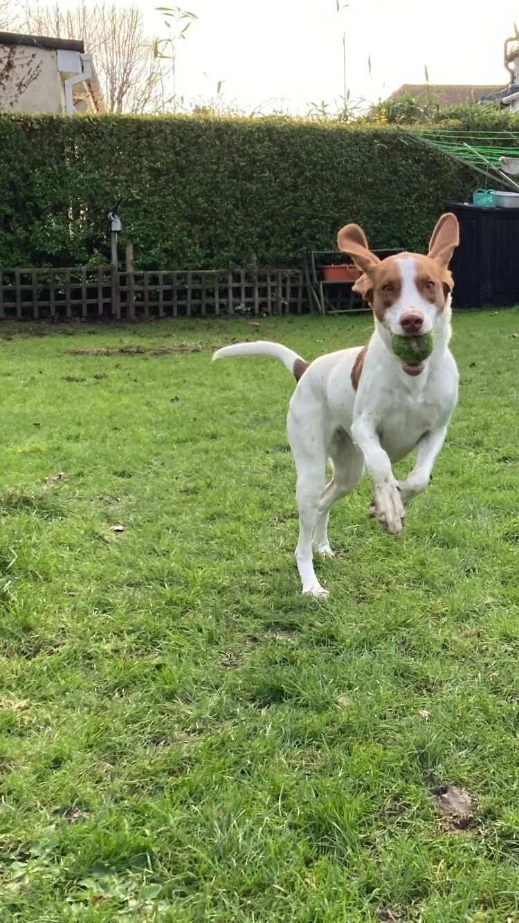 2208D7A2-D18D-4F6C-88CE-9EB6257F53CC