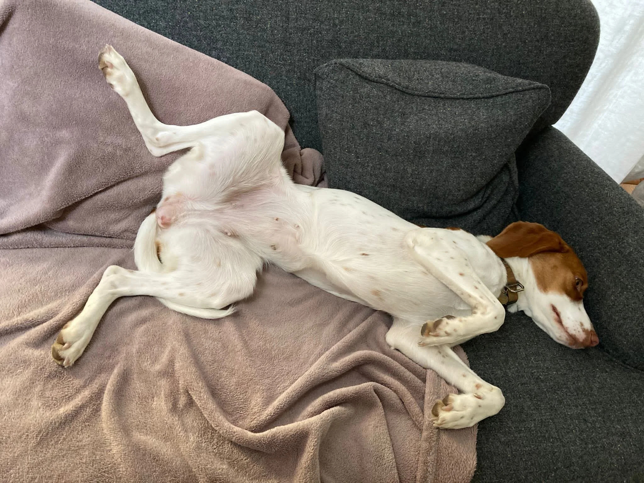 D867D243-736C-48A2-A872-CDEC464D49BD