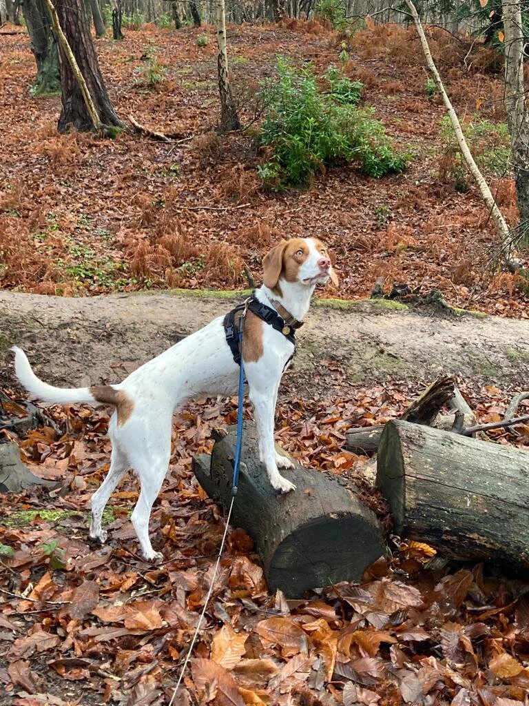 D1840080-249B-4F6B-8934-A48122D9DB0E