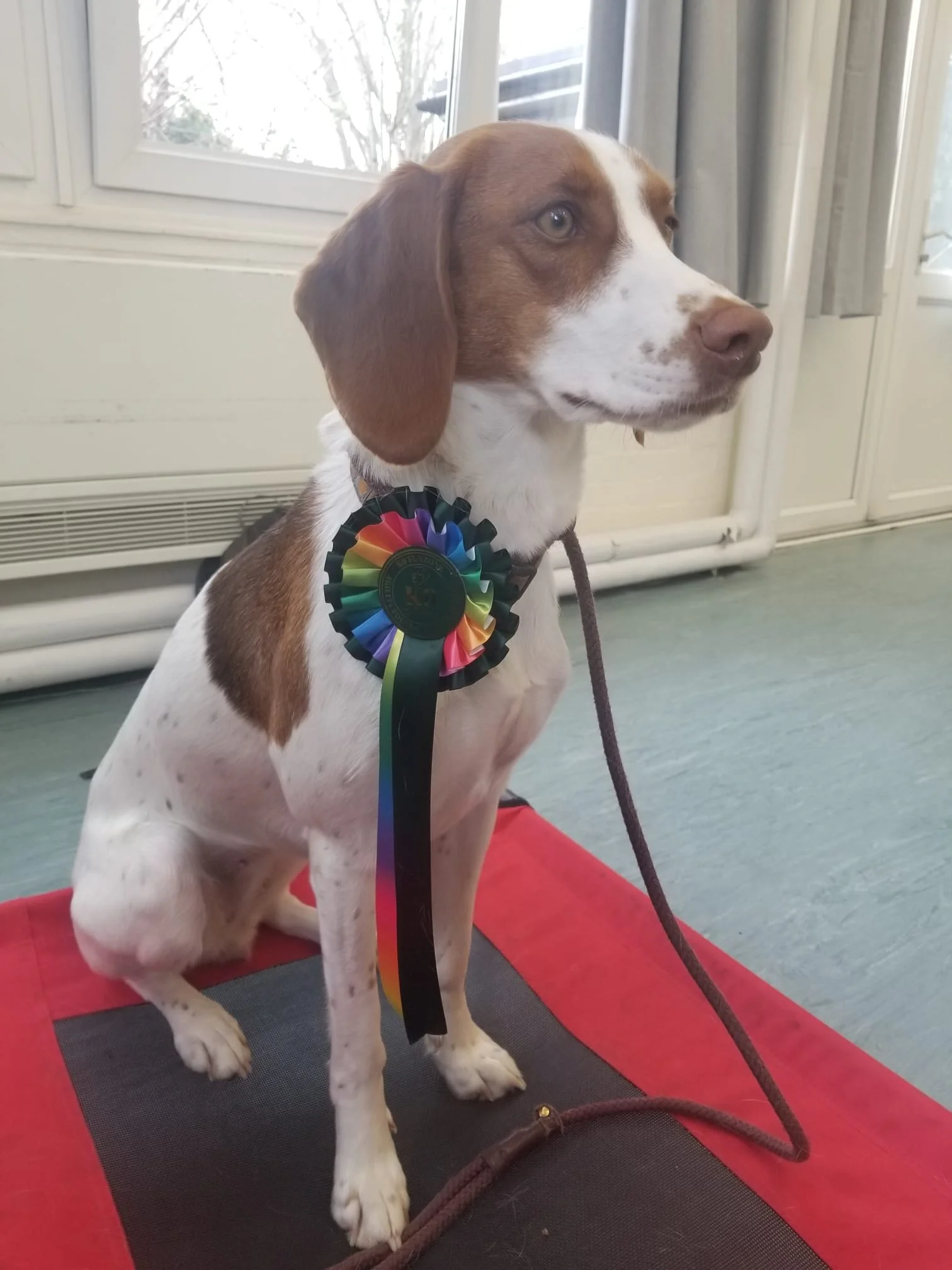 289359EC-3408-4792-97AB-0DEE0F627F62