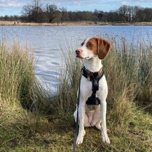 E727E7E0-5DB8-4665-A97A-EFE30A91B5FB