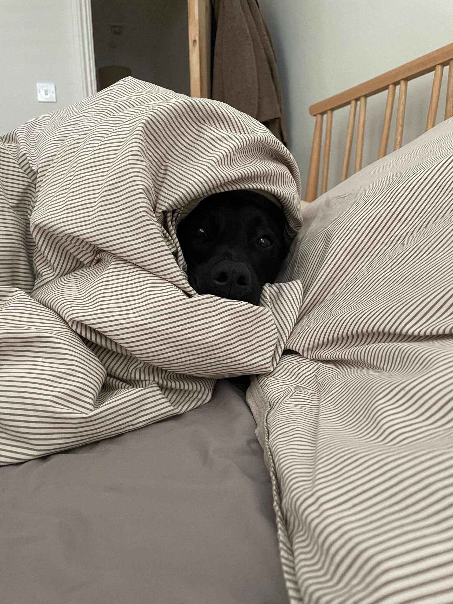 BC459FF3-DCD9-4944-87F9-D8F76E88859E