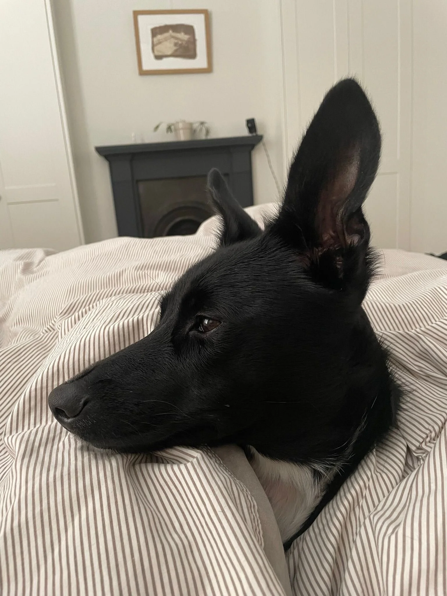 2051A809-CB58-4EC2-9648-47D92D1D001F