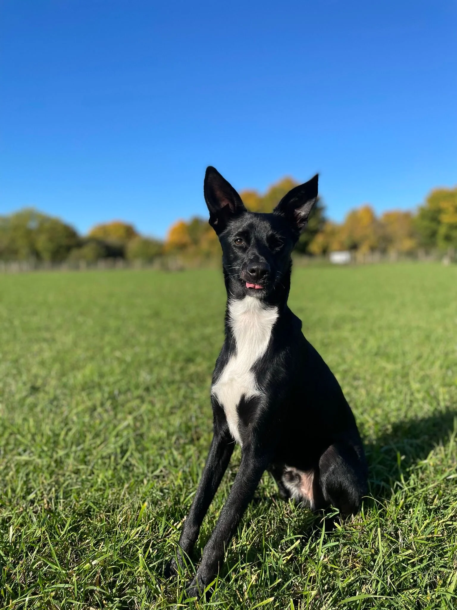 4246A322-7D06-42E4-A1F5-2346684120AB