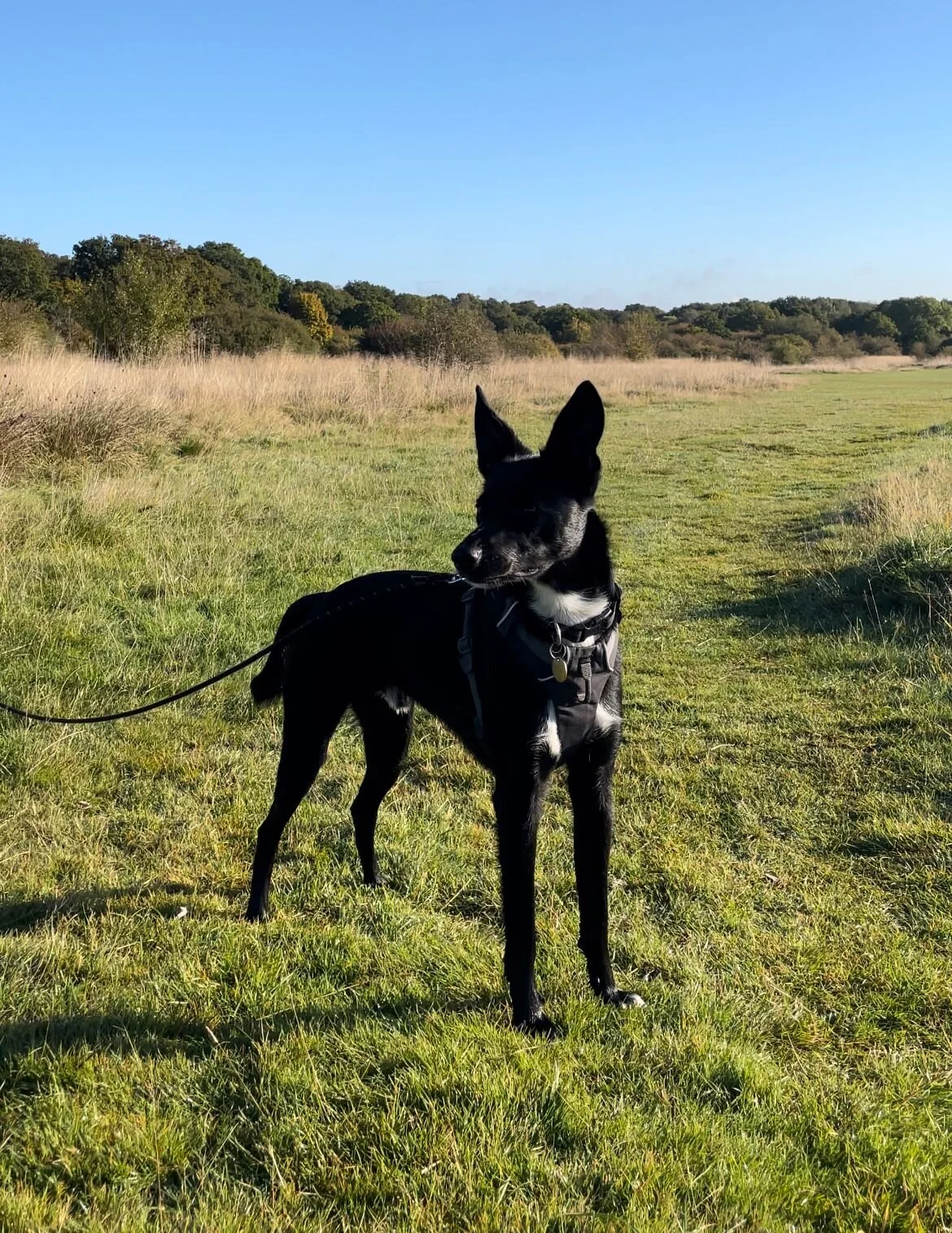 0DAB6EA3-EDB8-4DC4-B708-D8F78D227498