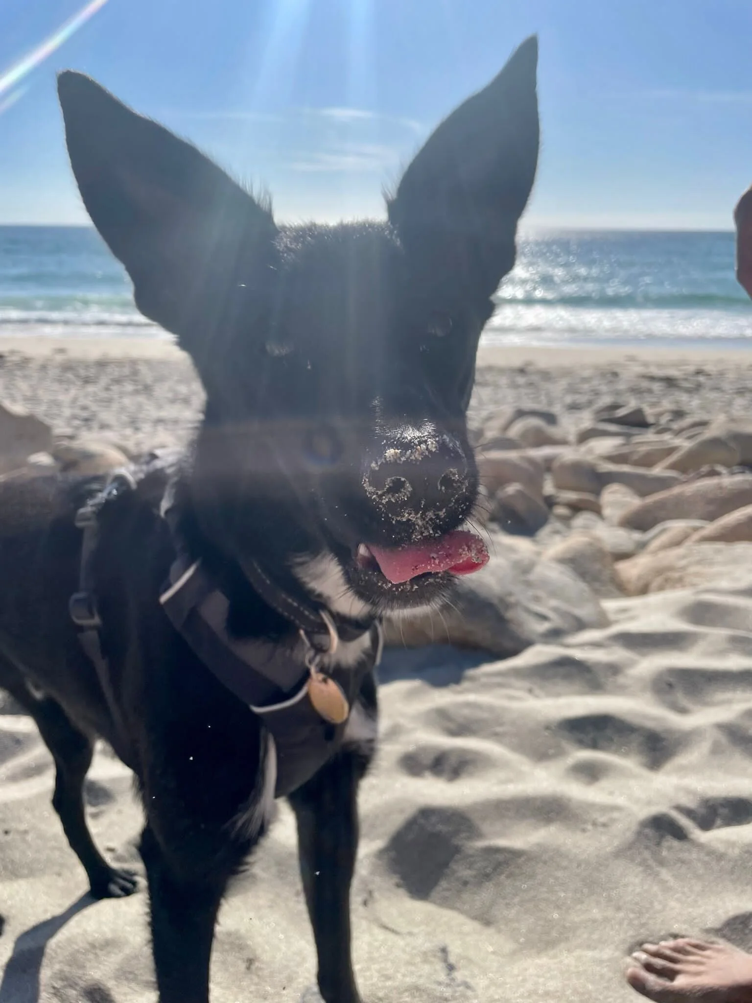 755284C0-F734-43A0-BD25-06A617D7A3DF