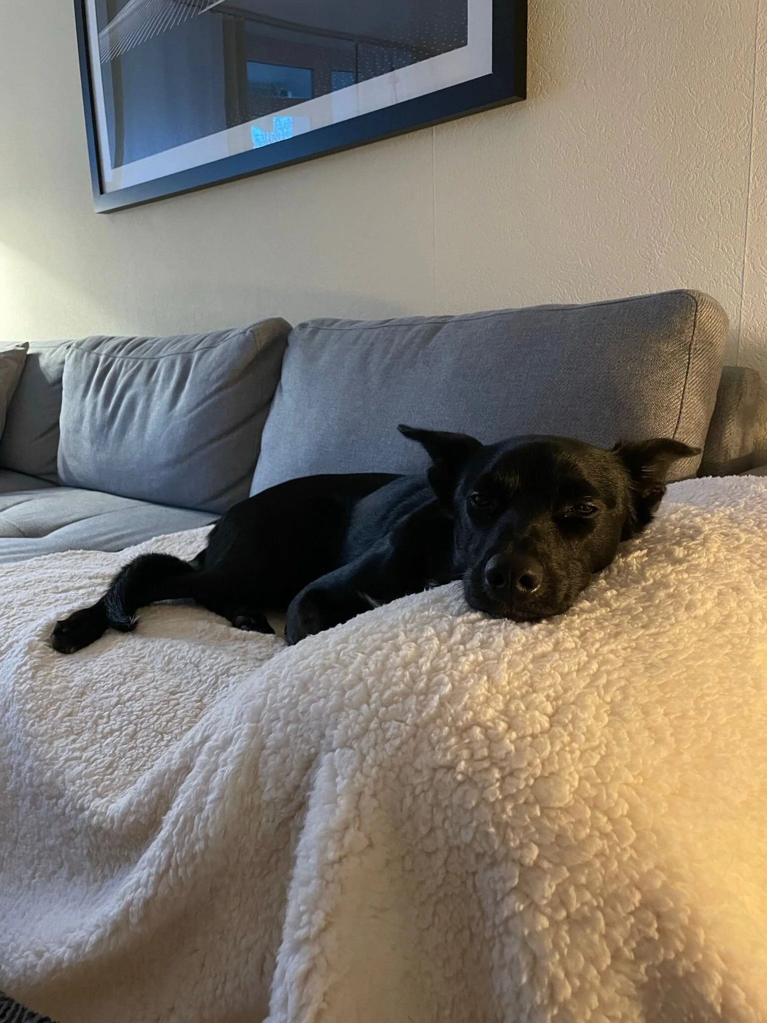 64F9D46D-8196-407C-A1C2-46853736C5EA