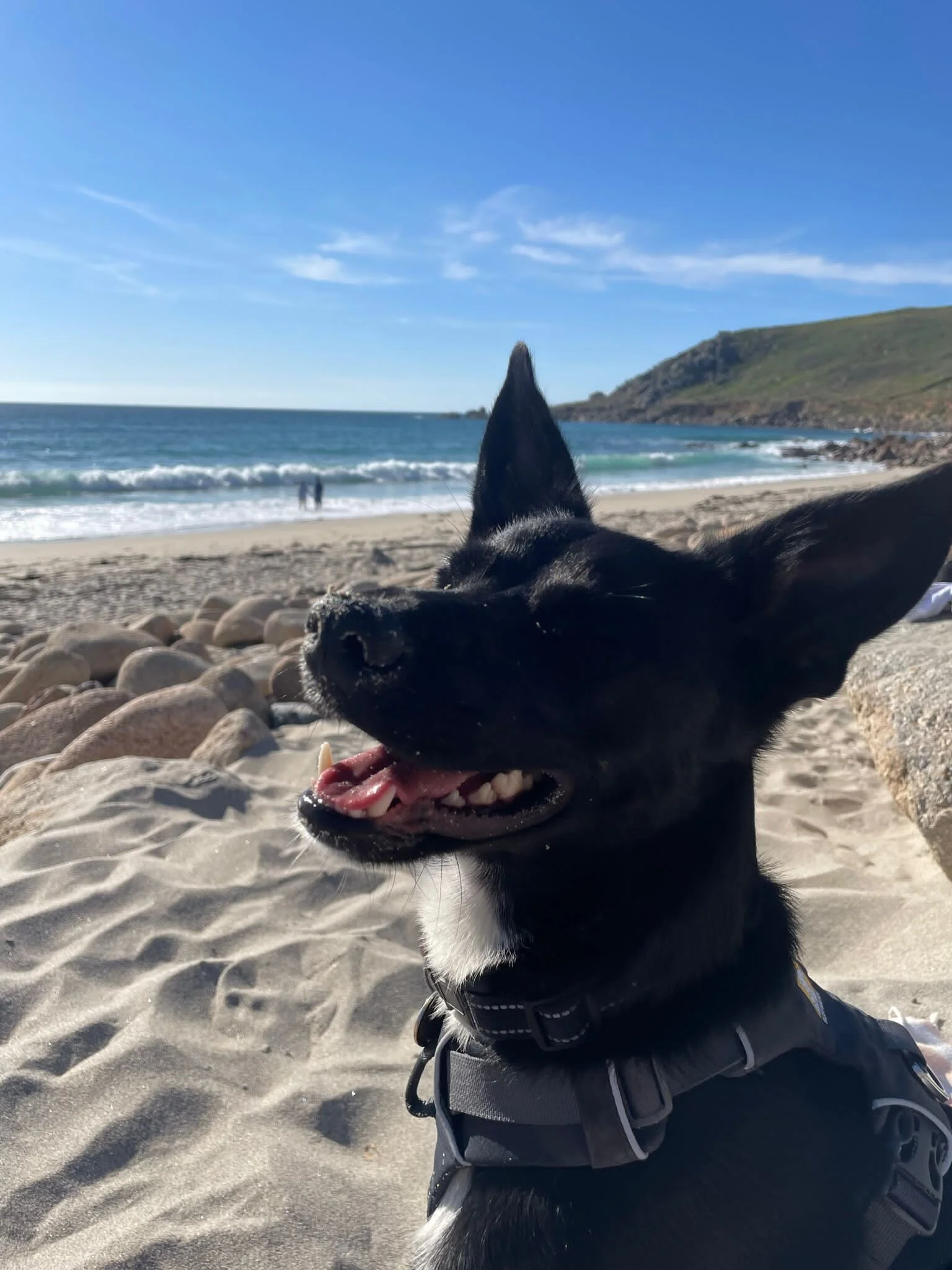 B87481E8-3C3D-4241-BEED-53E462EA1B38