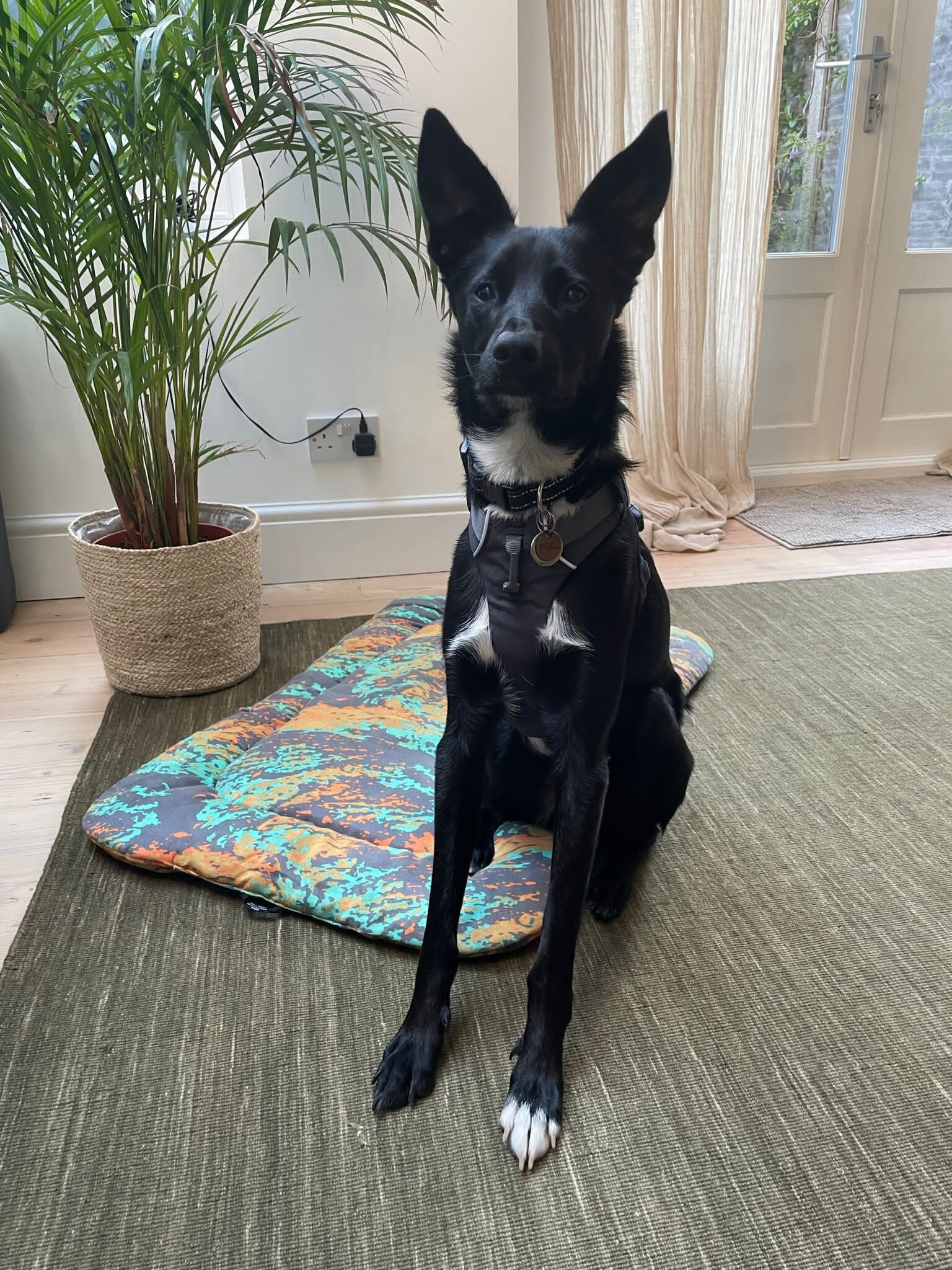 7A5D5906-5E43-4F09-B95C-D747D784A75D