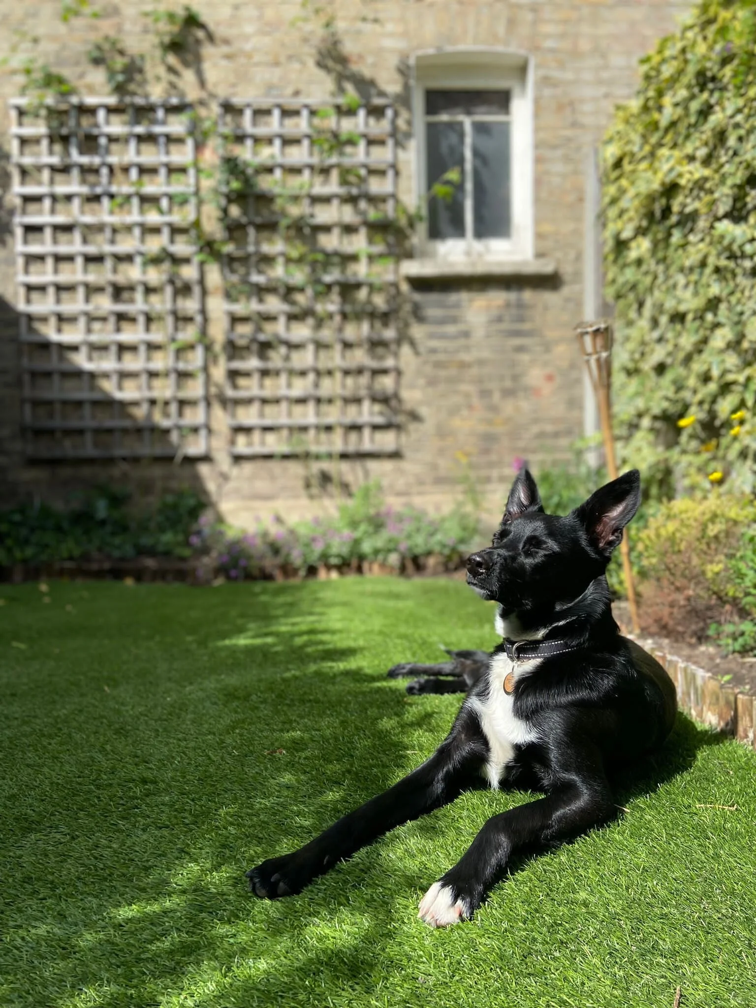 6F1DF7BF-2E93-4B96-9D01-33F63705F1E9