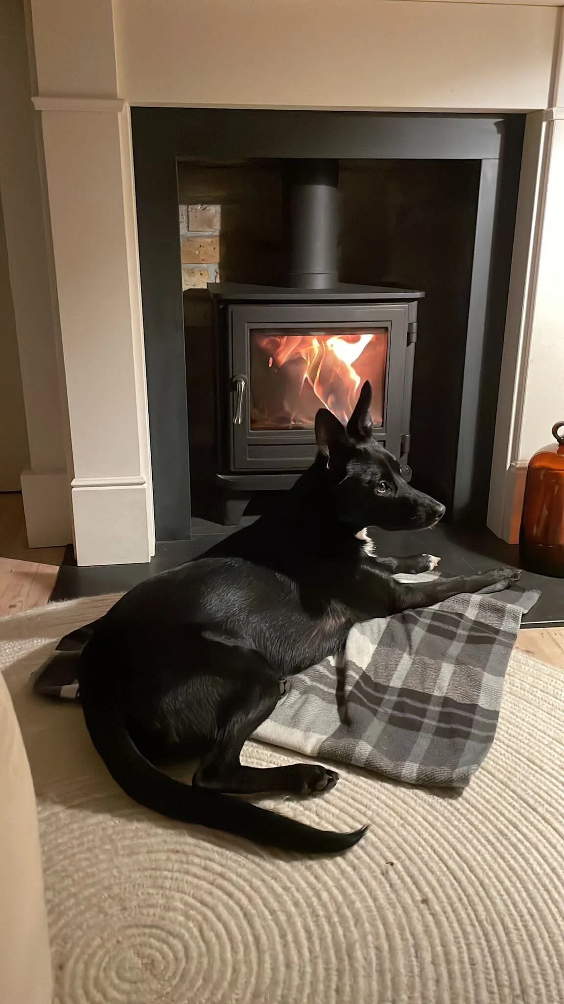 C4546921-48C1-4FCC-9764-2A0260045E20