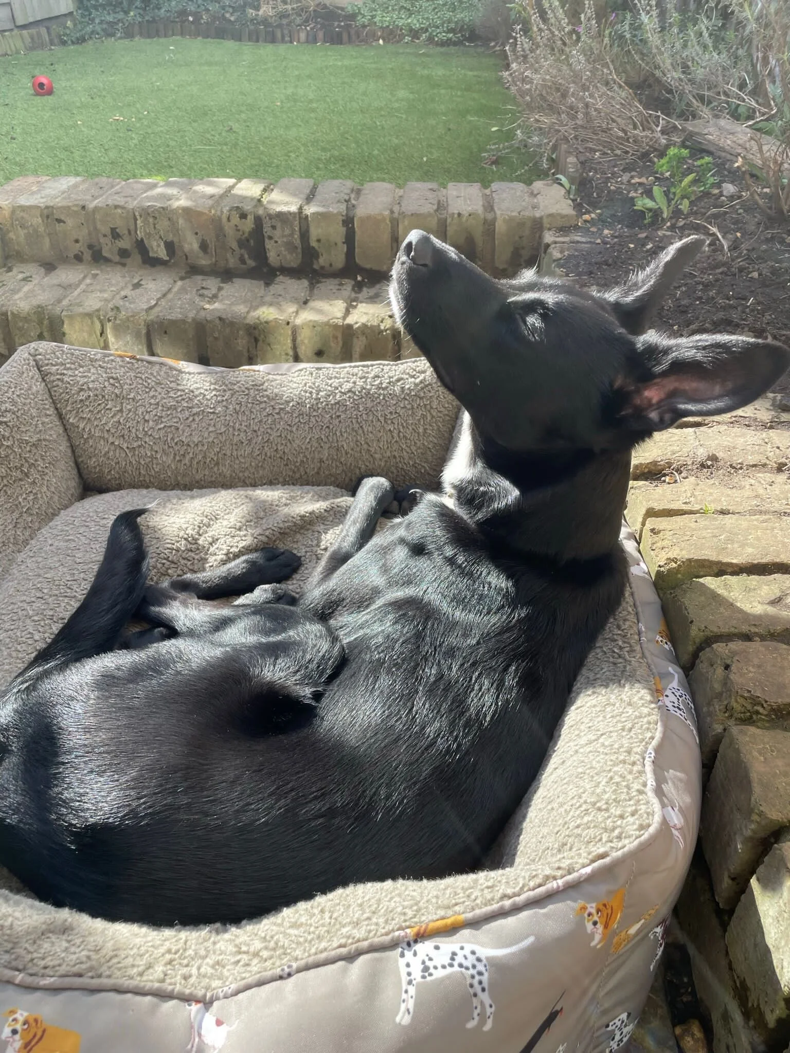 158F1D67-6E5F-4CC5-B00B-591276E57983