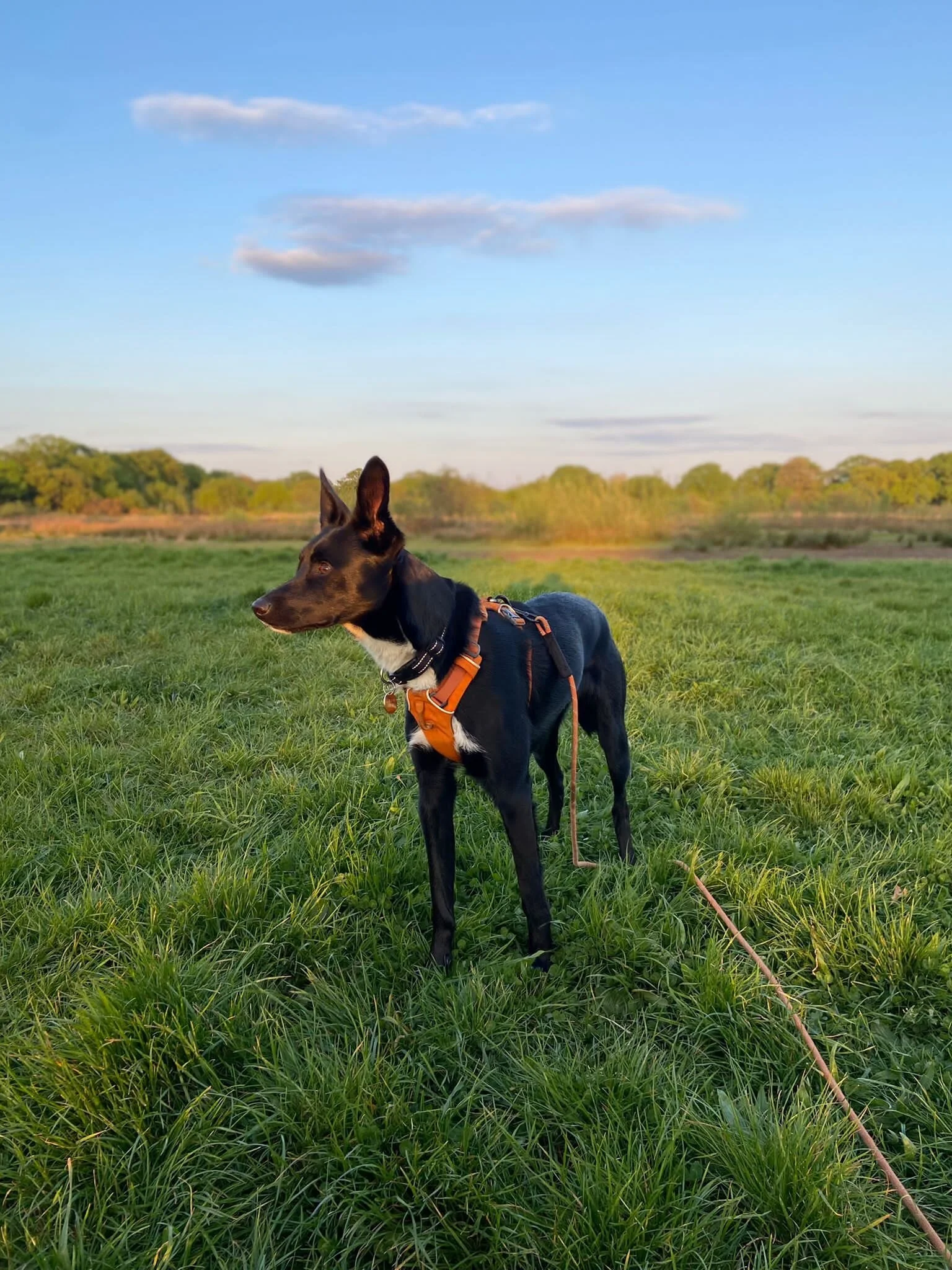 9D410626-3092-4DC6-B049-CCC8A6B7BDF5