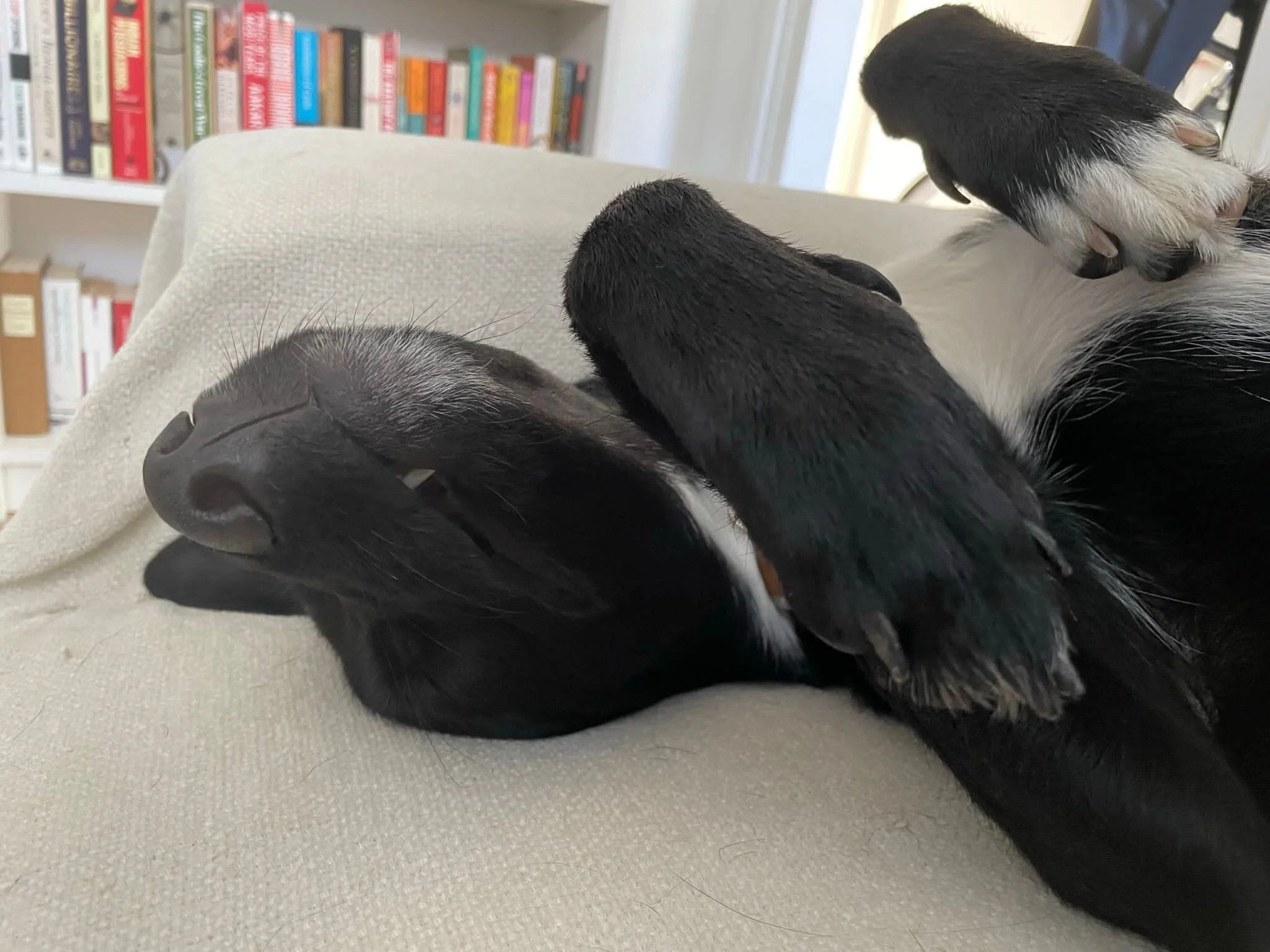 49192C21-1A51-4560-A2D9-F71484005FF1