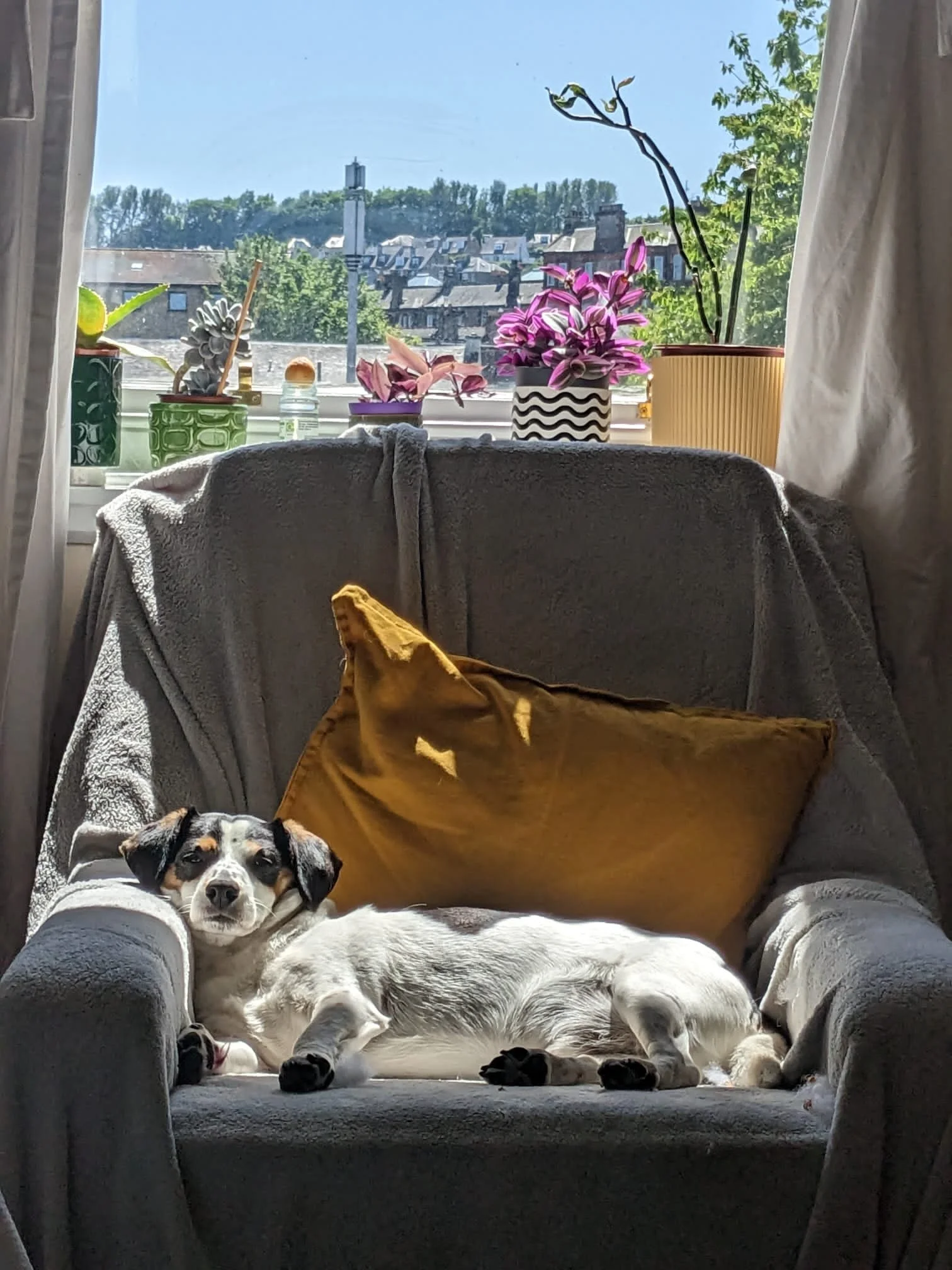 96CDC9CE-7796-4756-9020-74DC895AF9D8