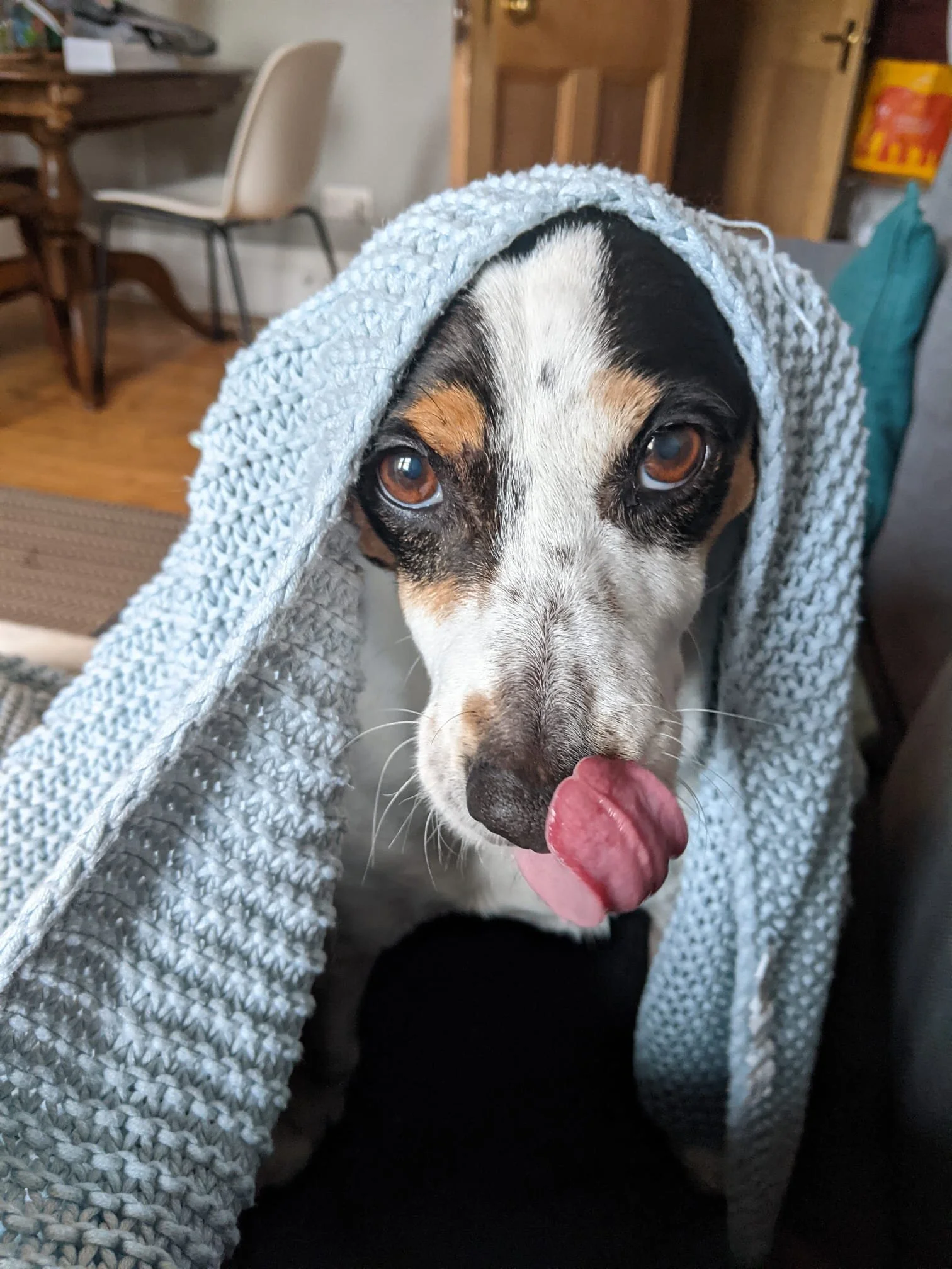 E6EE2A6D-75B0-493E-B07A-A26ED256A7B0