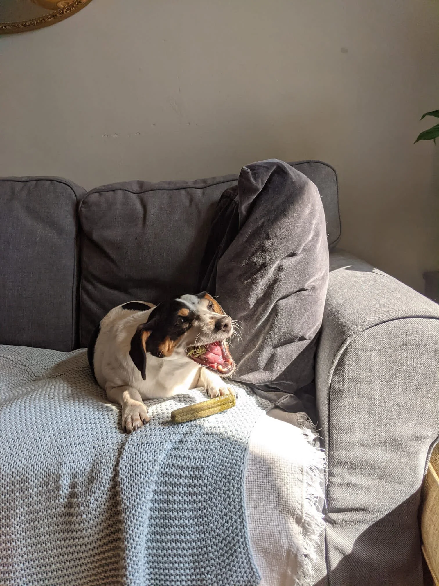 816986DF-7190-40AA-B49B-14F0B32E18CF