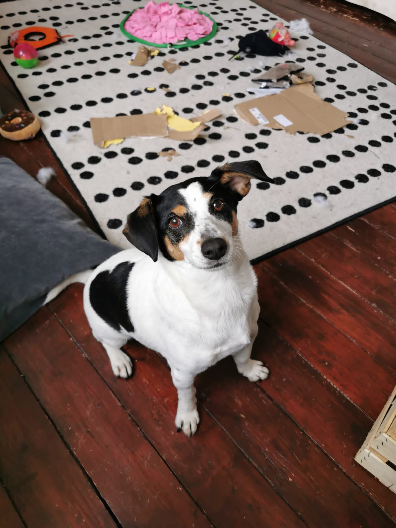 F272883A-260E-4842-A063-0DB1166B59E6