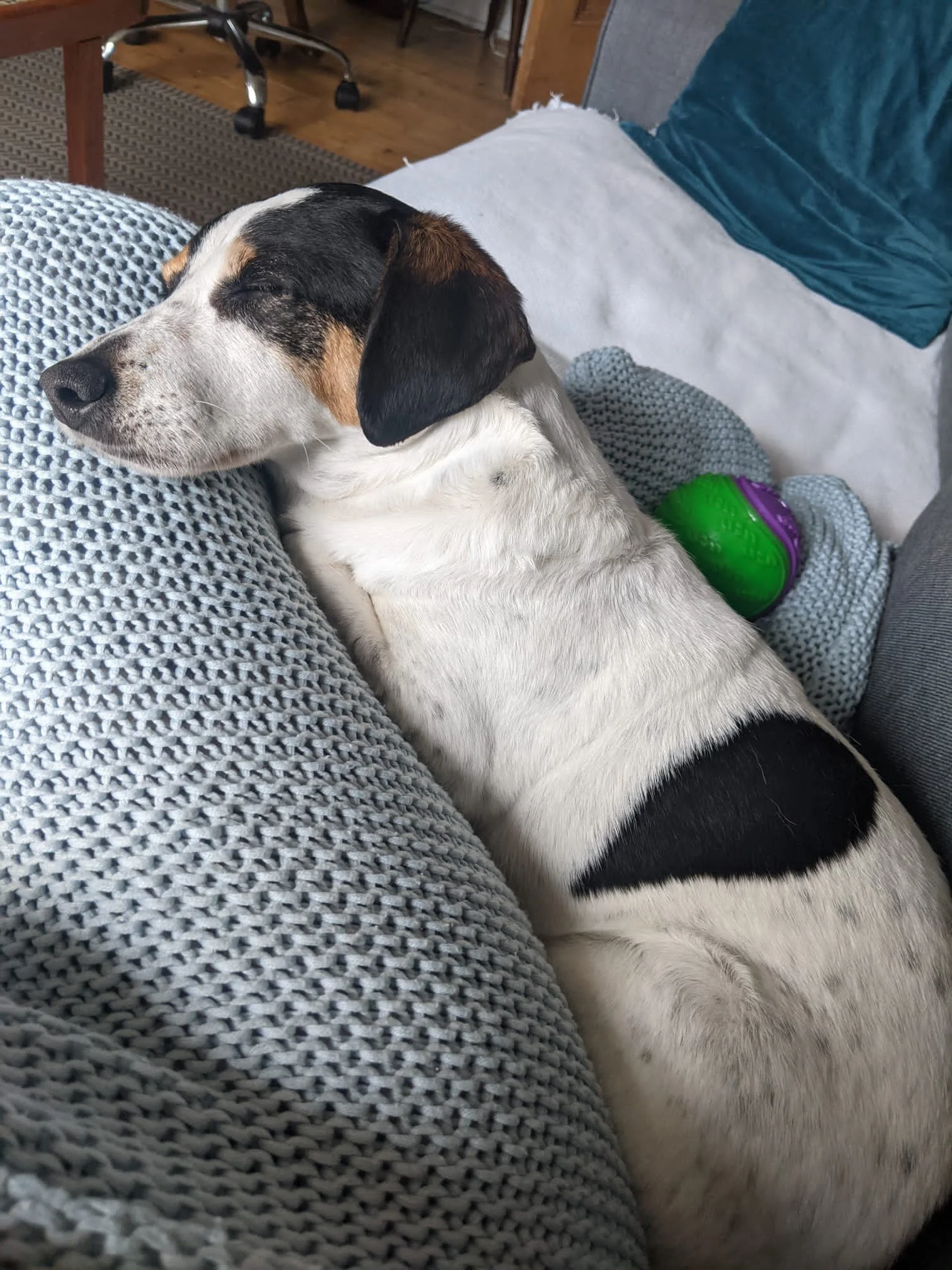 BD2041C9-C2DA-45CC-A07D-27263472D9F8