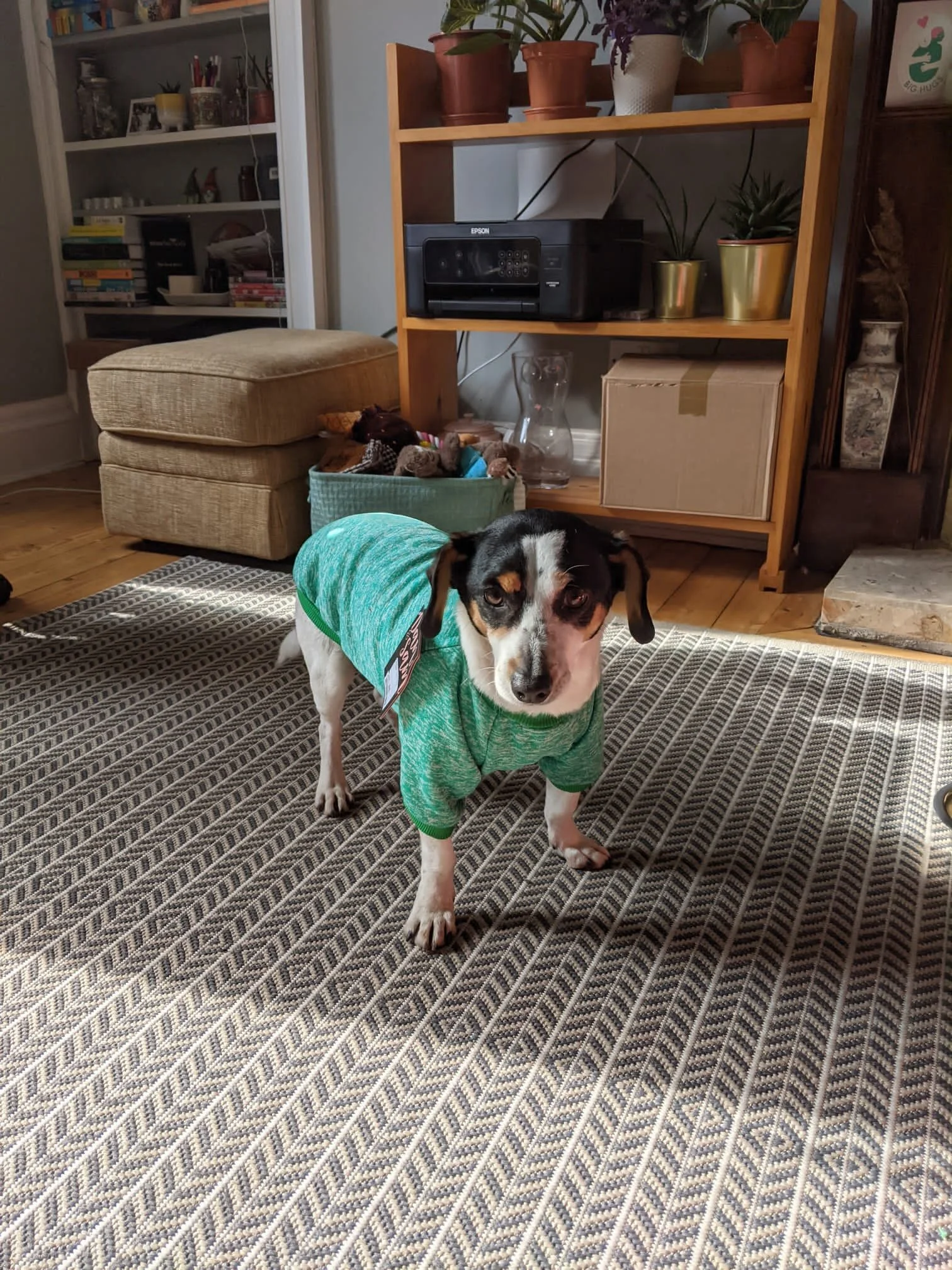 77AF5F21-75D0-4410-8FC2-560BB3366144