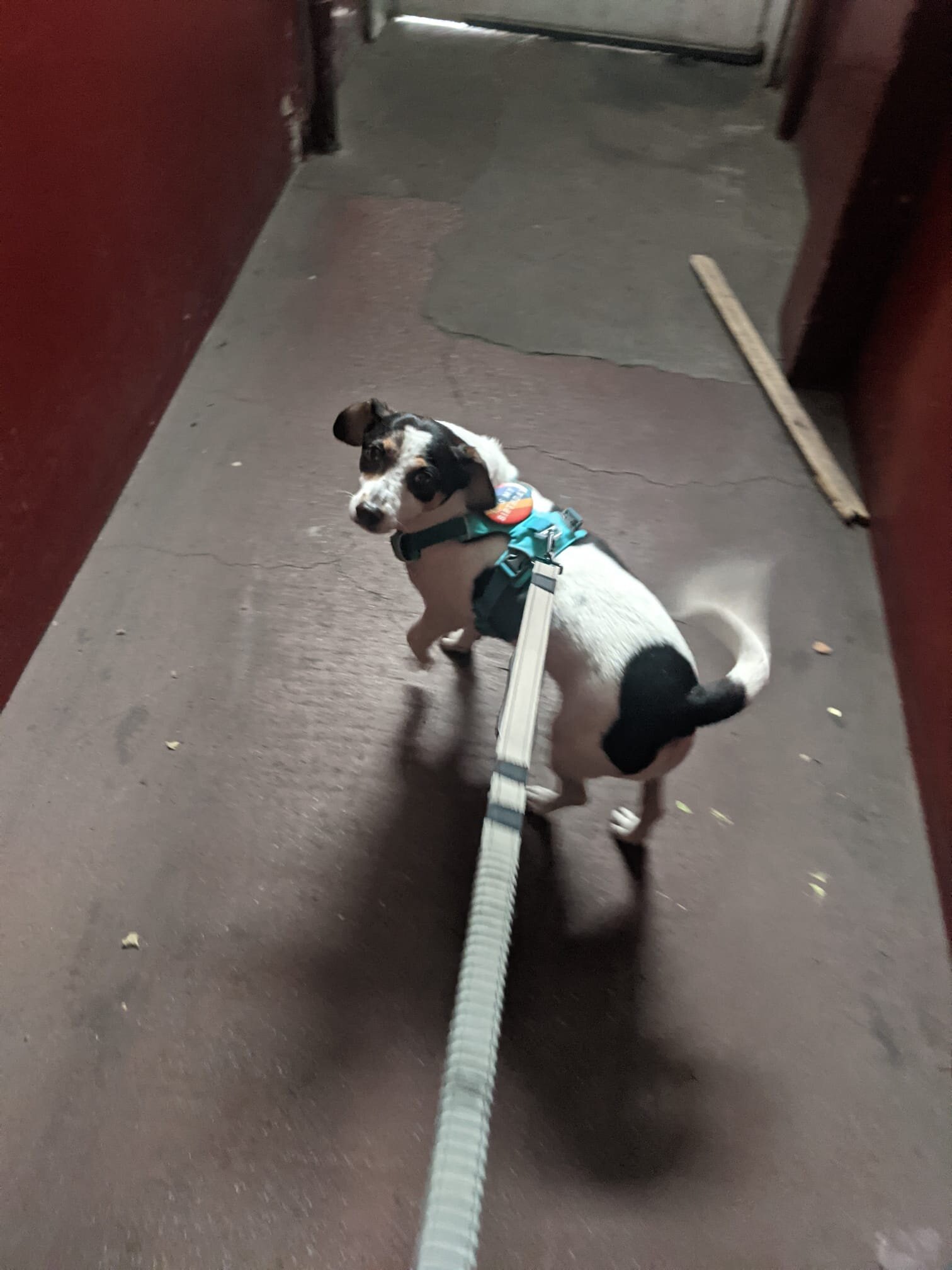 DC1C85F6-5458-403C-A311-6A983D8BDC40