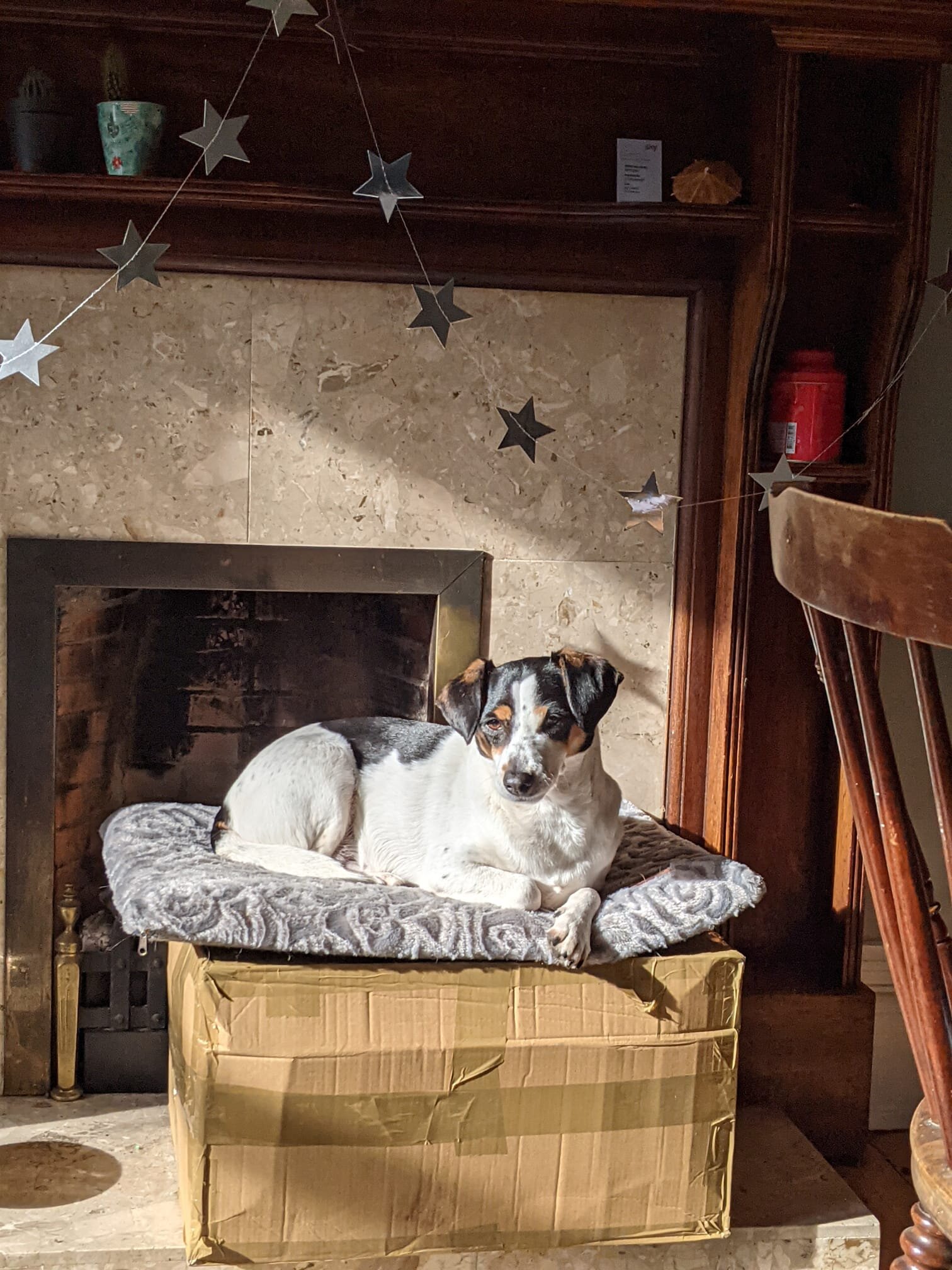 AC22BC38-1D9C-4EDE-A023-D4CFC28D1349