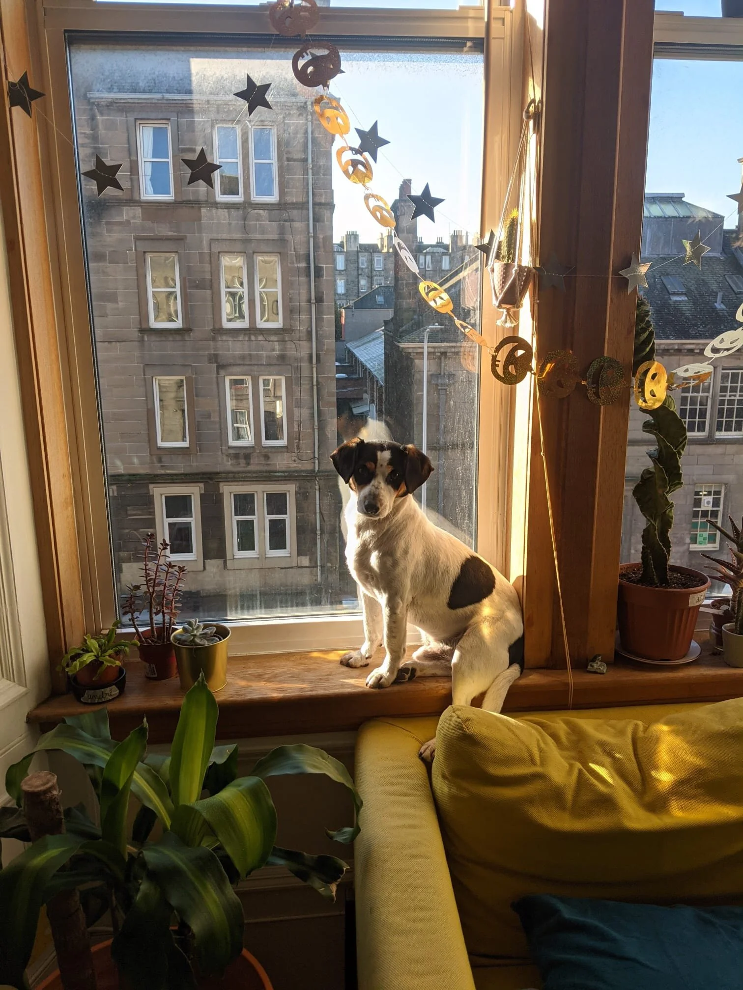 797456EB-686B-459C-98C5-FFE43B96E6E9