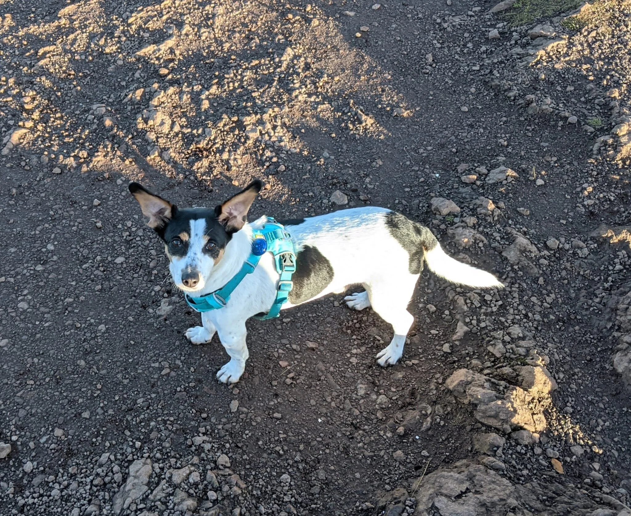 8F7201EC-8DDE-43F1-87A9-7D67066664E2