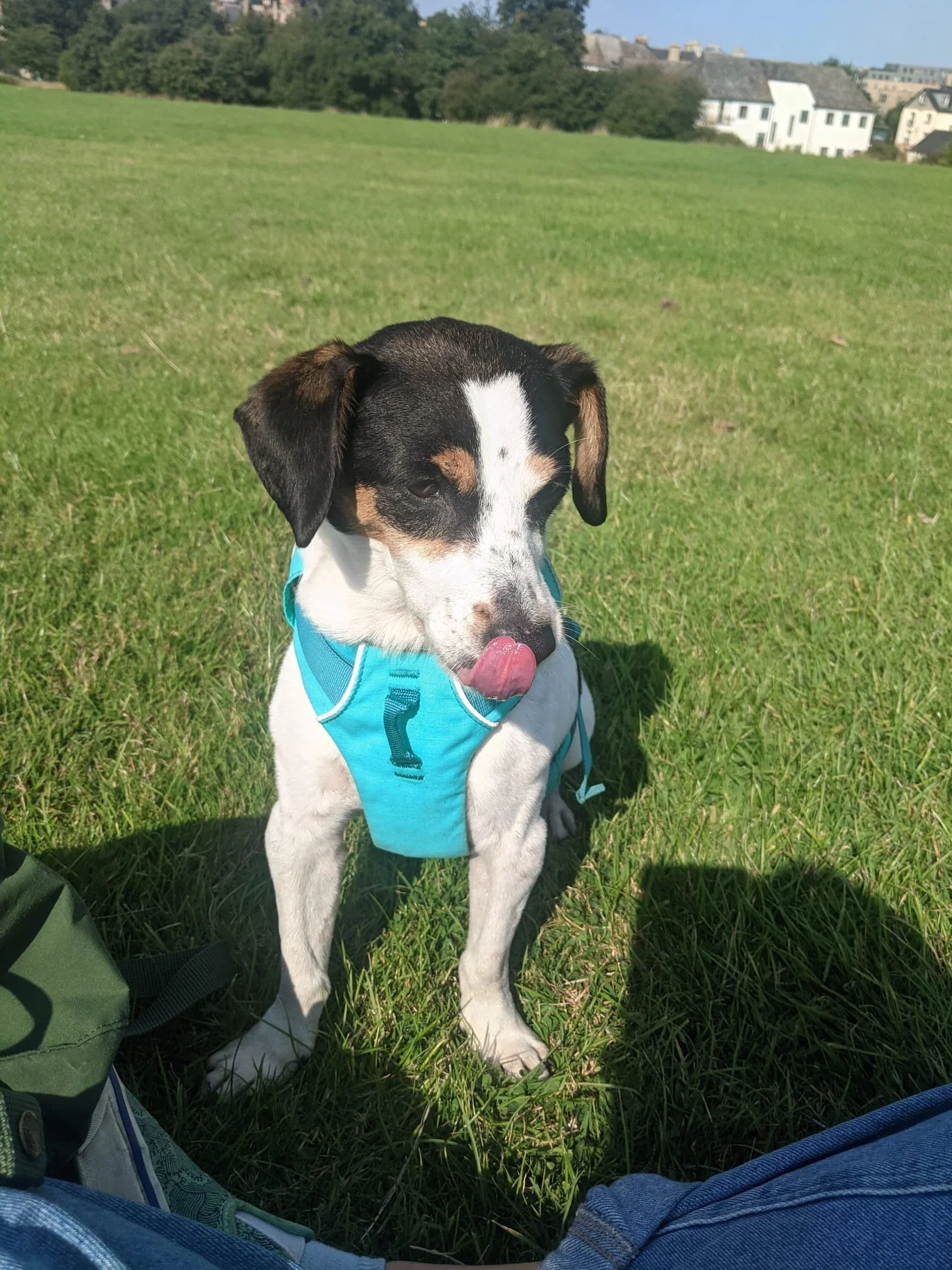 864FADB8-ED9D-4337-9DCD-0B2E4CFDF945