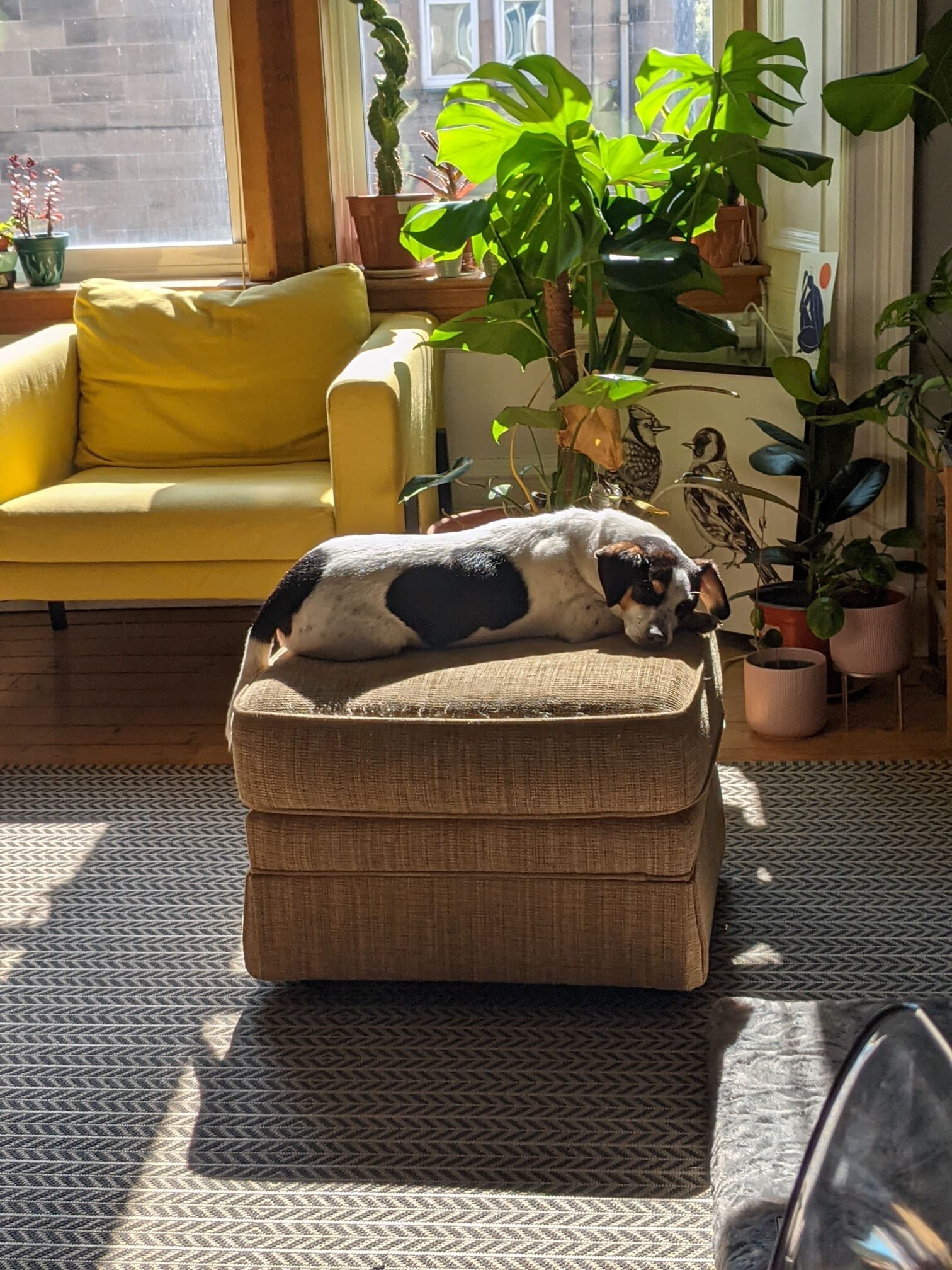 2DCC1493-0728-409B-AA12-6974144F3FE1