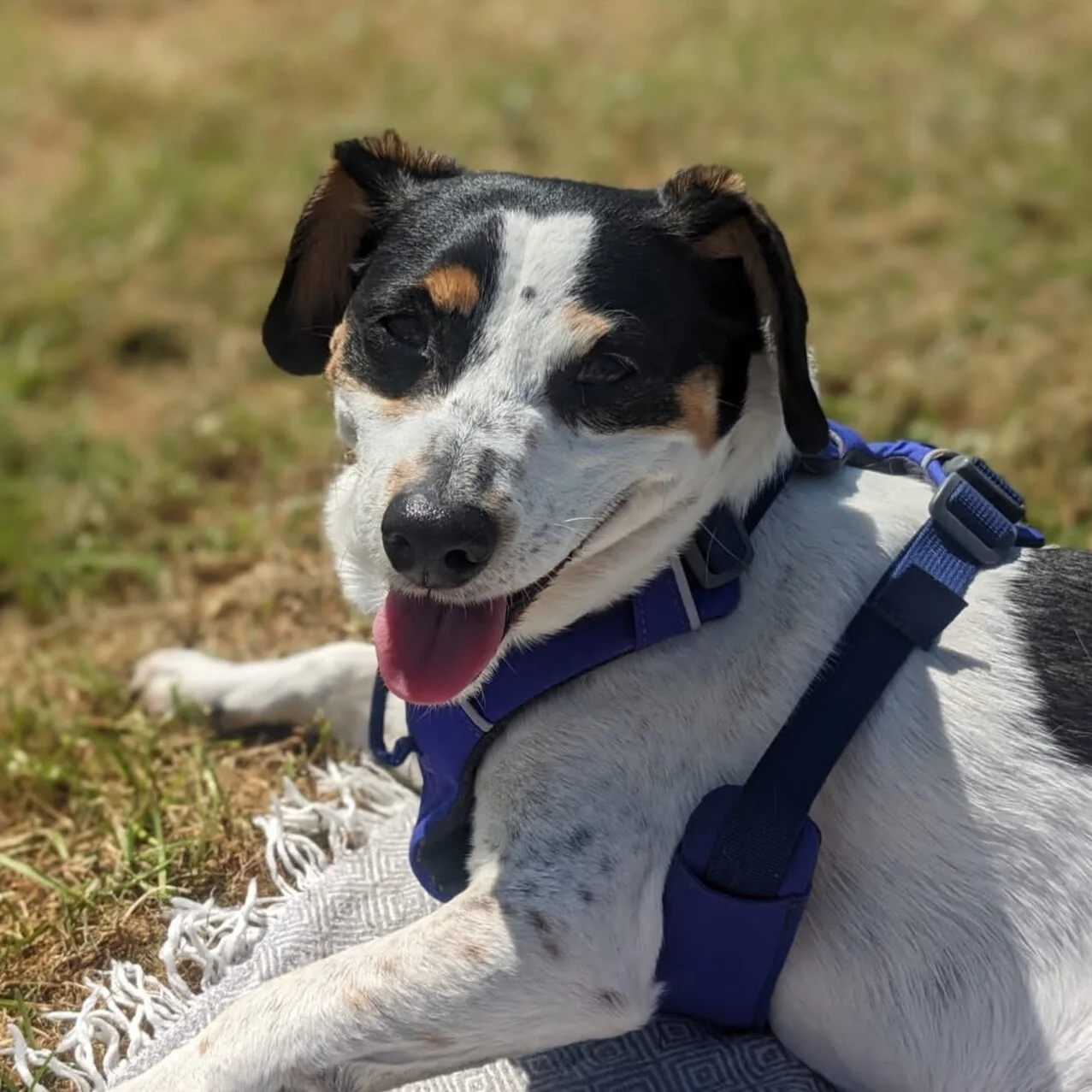 28A1FEBC-9F5B-47E4-9D0C-49F6A56207EE